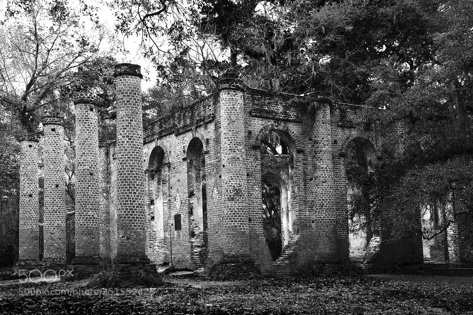 Canon EOS 5D Mark II sample photo. Old sheldon church ruins photography