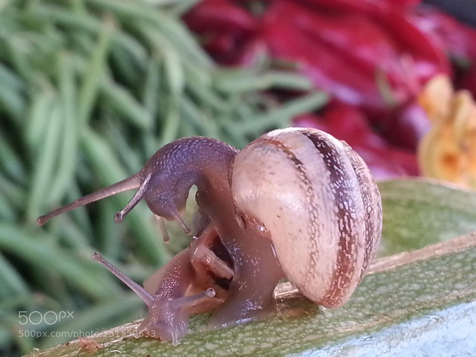 Samsung Galaxy Note2 sample photo. Your comments photography
