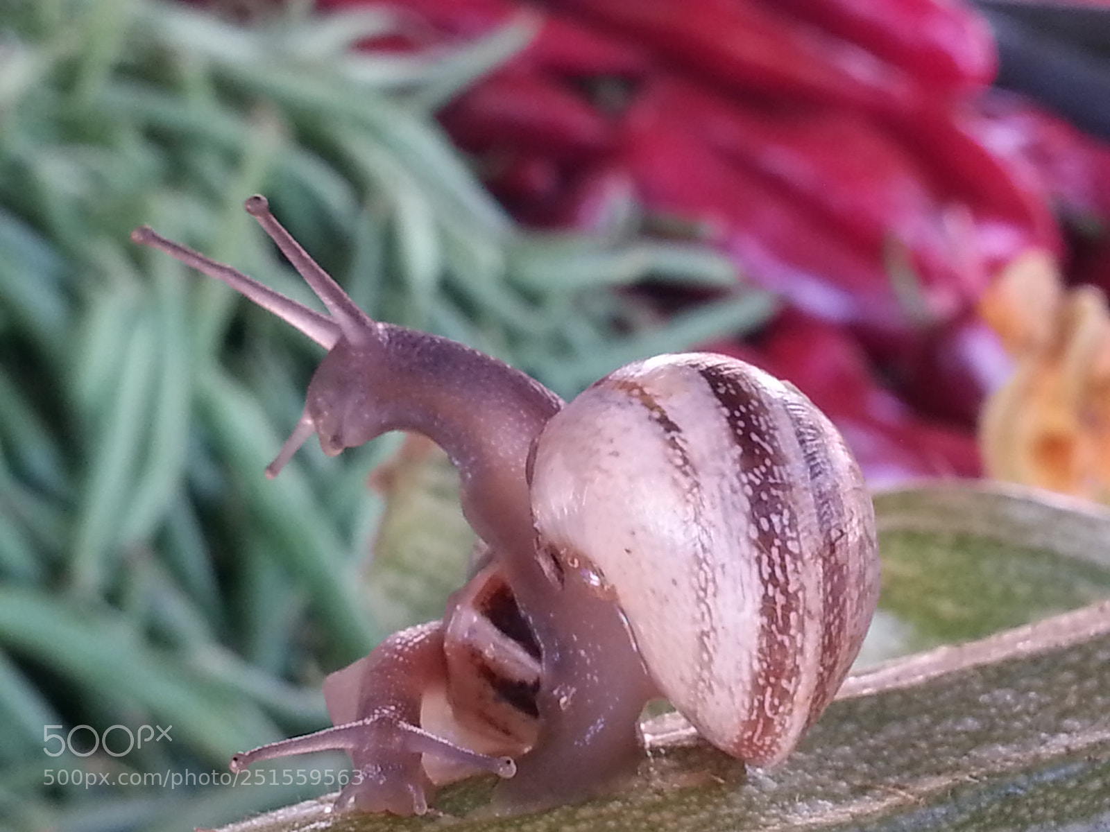 Samsung Galaxy Note2 sample photo. Untitled photography