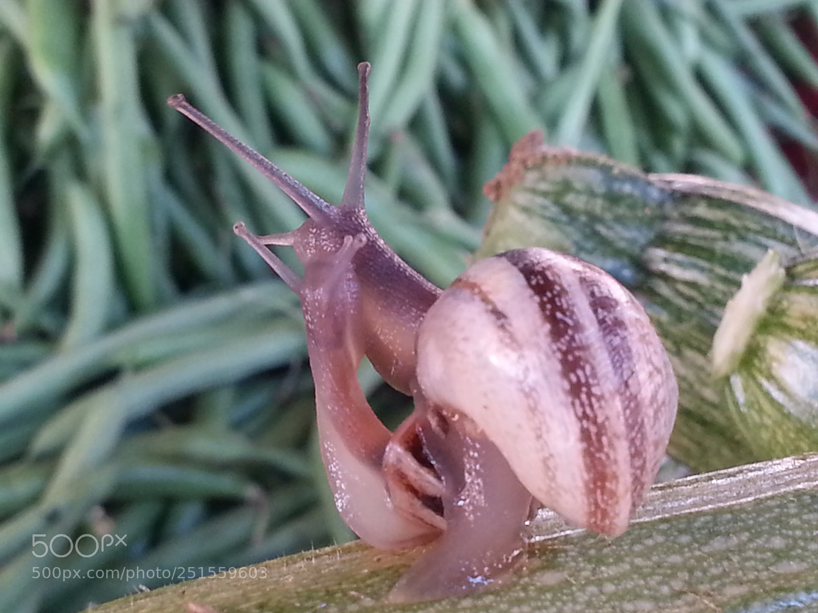 Samsung Galaxy Note2 sample photo. Untitled photography