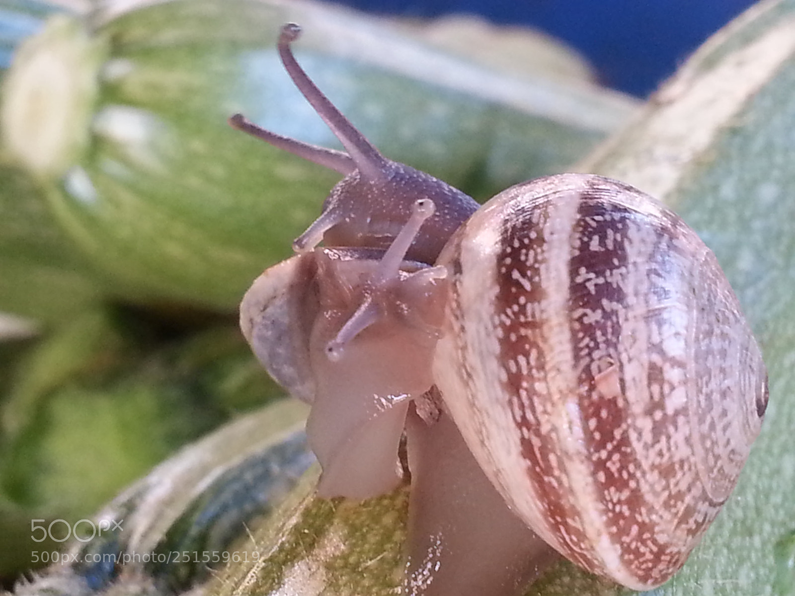 Samsung Galaxy Note2 sample photo. Untitled photography