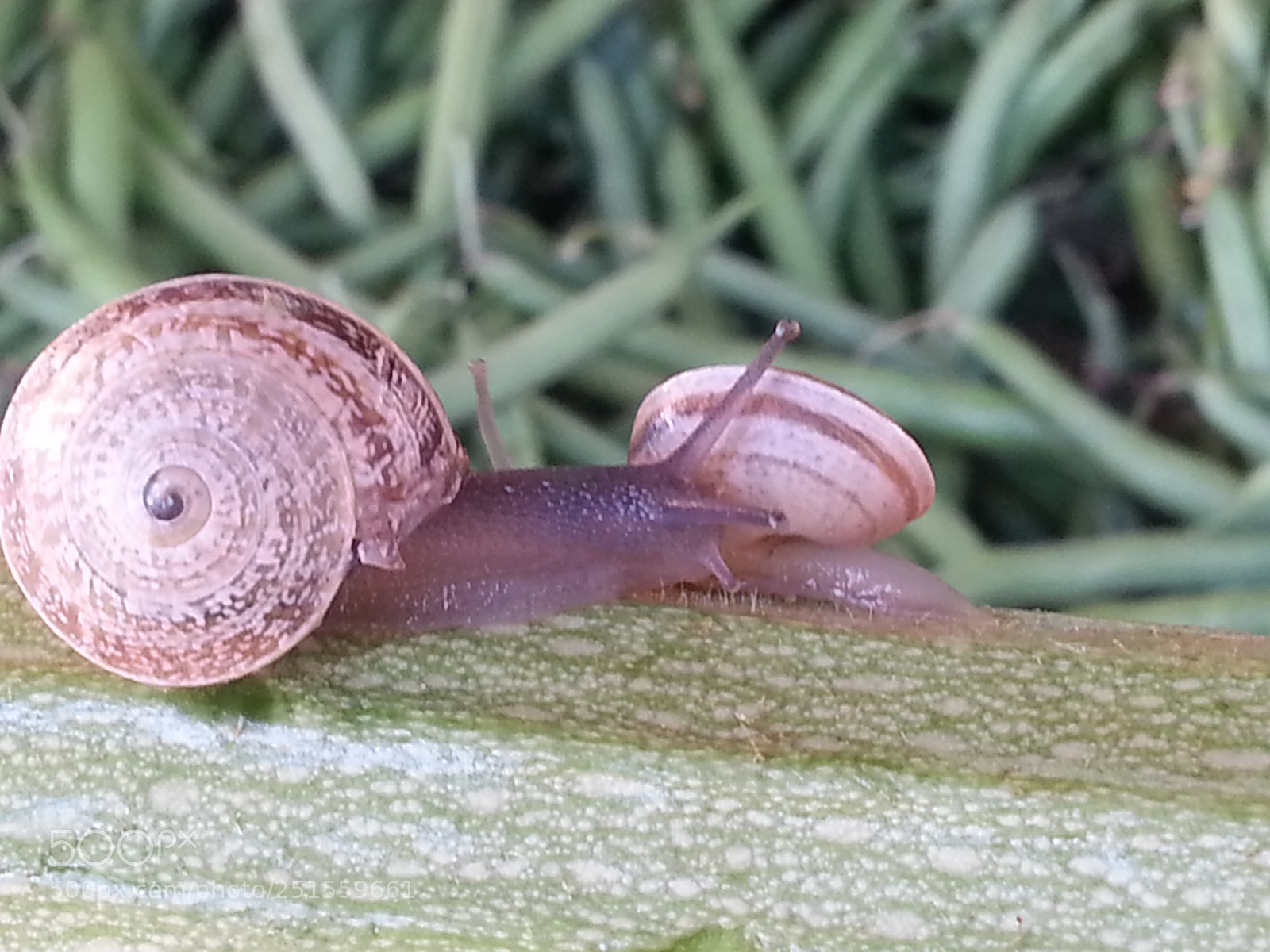 Samsung Galaxy Note2 sample photo. Untitled photography