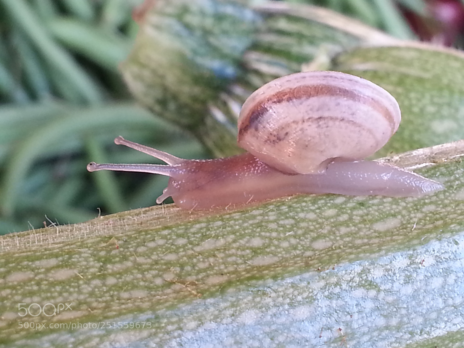 Samsung Galaxy Note2 sample photo. Untitled photography