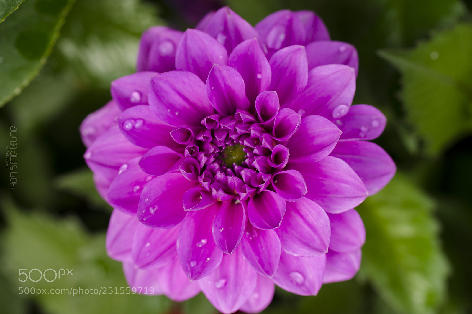 Nikon D7000 sample photo. Met friend photography