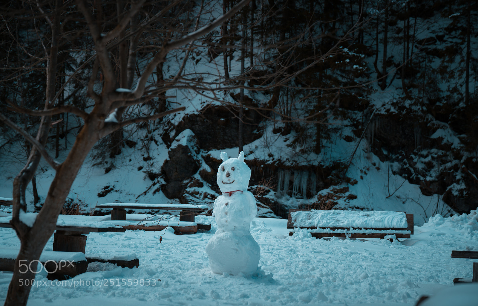 Sony a7R II sample photo. Happy face photography