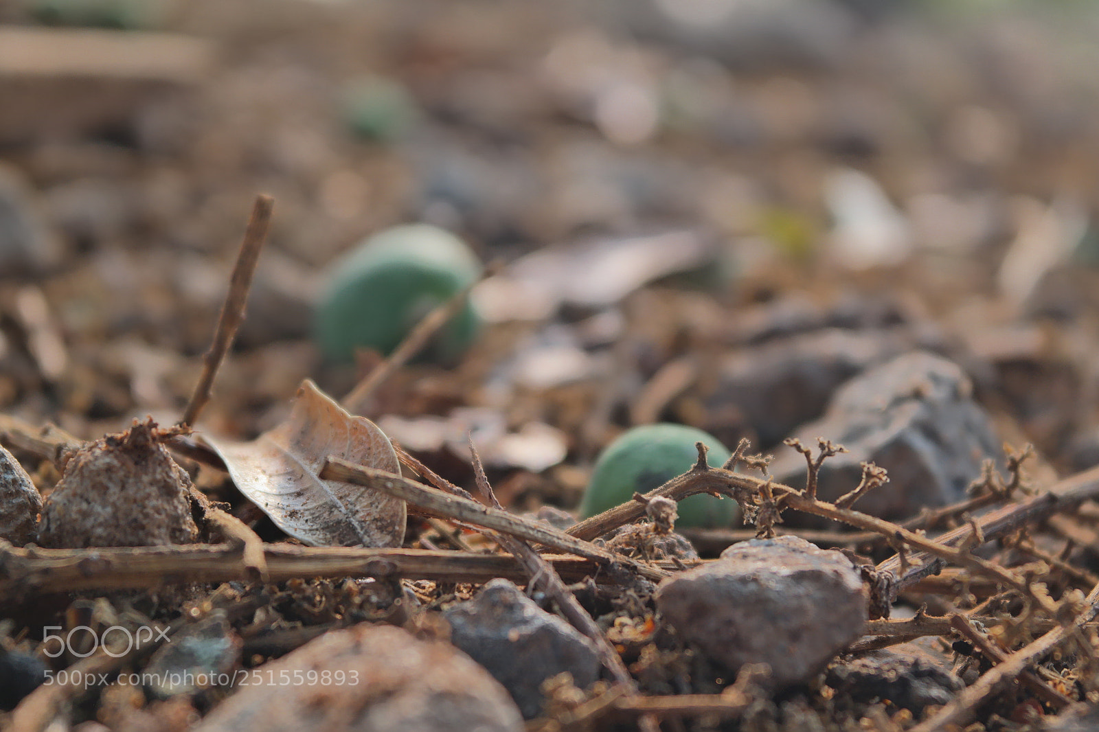 Samsung NX2000 sample photo. Morning ride photography