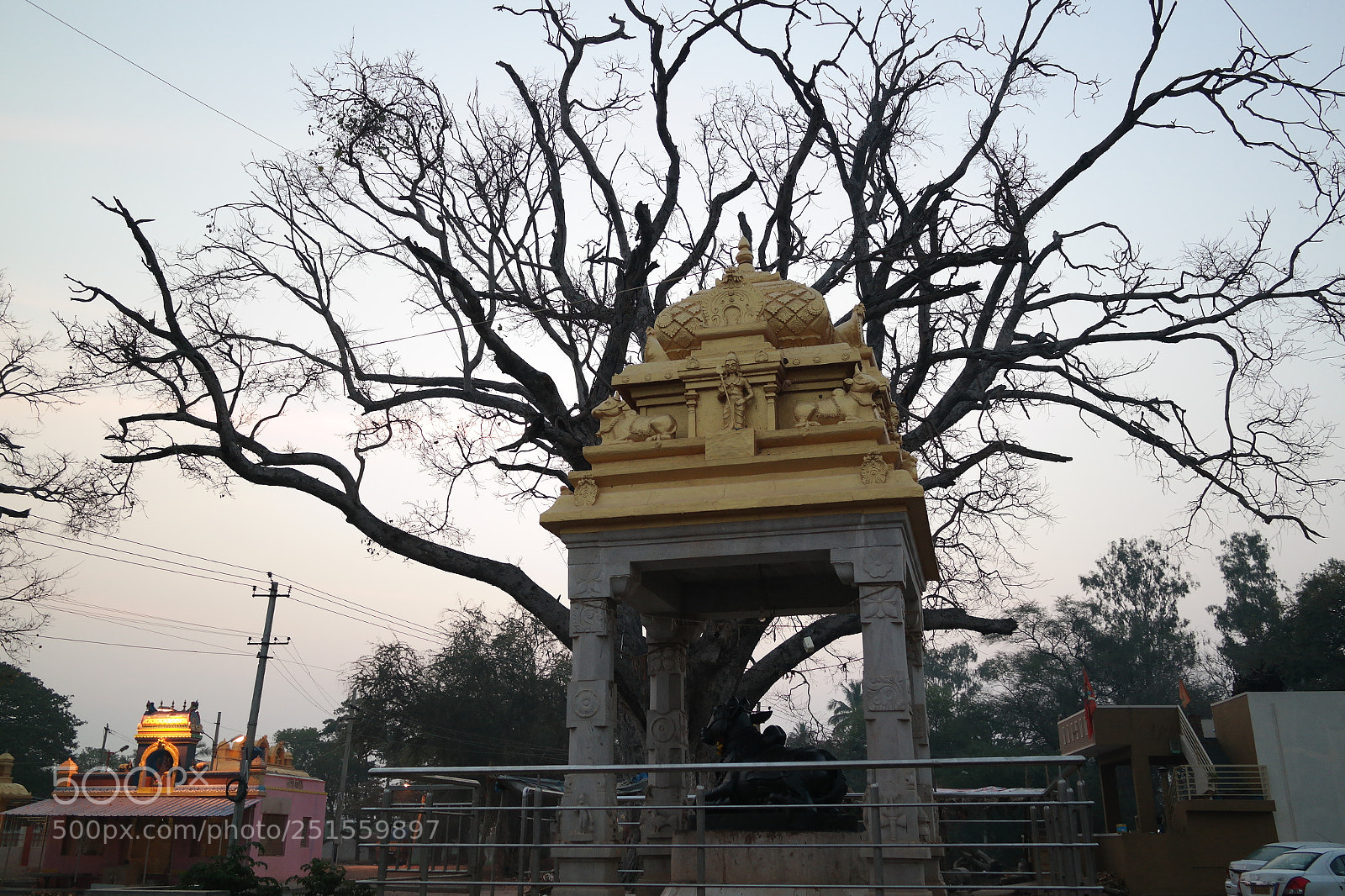 Samsung NX2000 sample photo. Morning ride photography