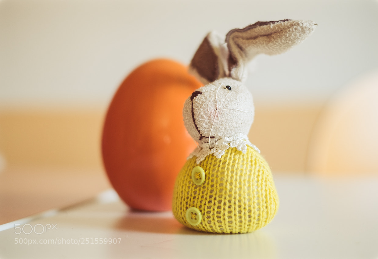 Fujifilm X-T20 sample photo. Osterhase photography