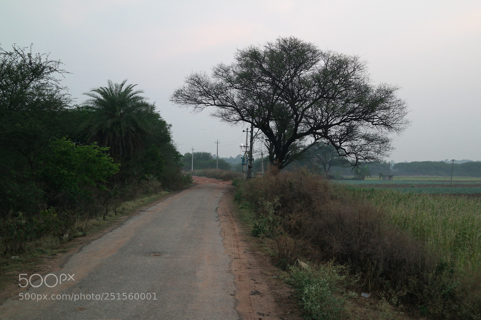 Samsung NX2000 sample photo. Morning ride photography