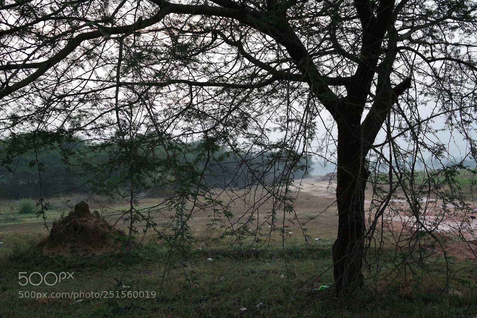 Samsung NX2000 sample photo. Morning ride photography