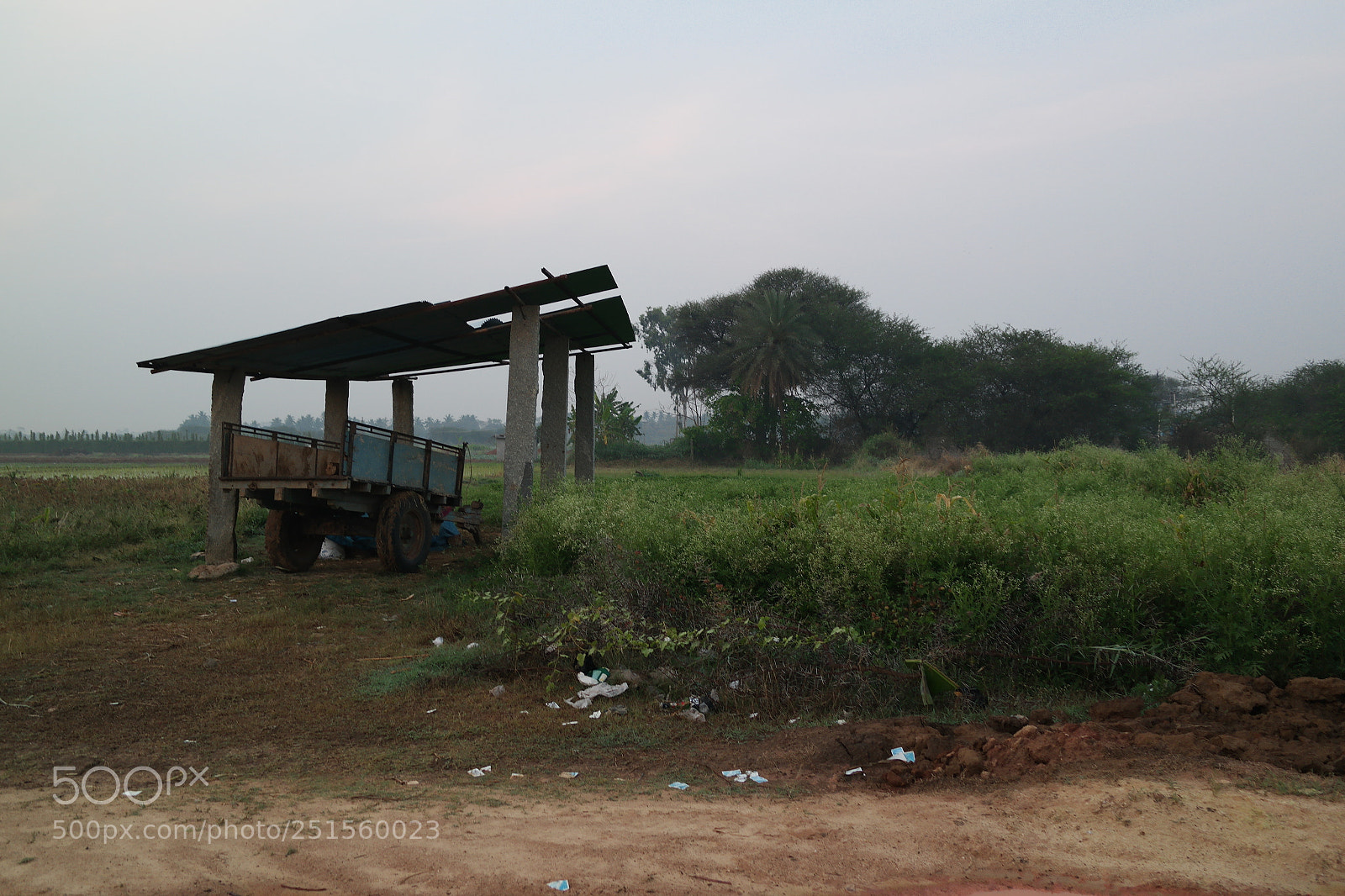 Samsung NX2000 sample photo. Morning ride photography