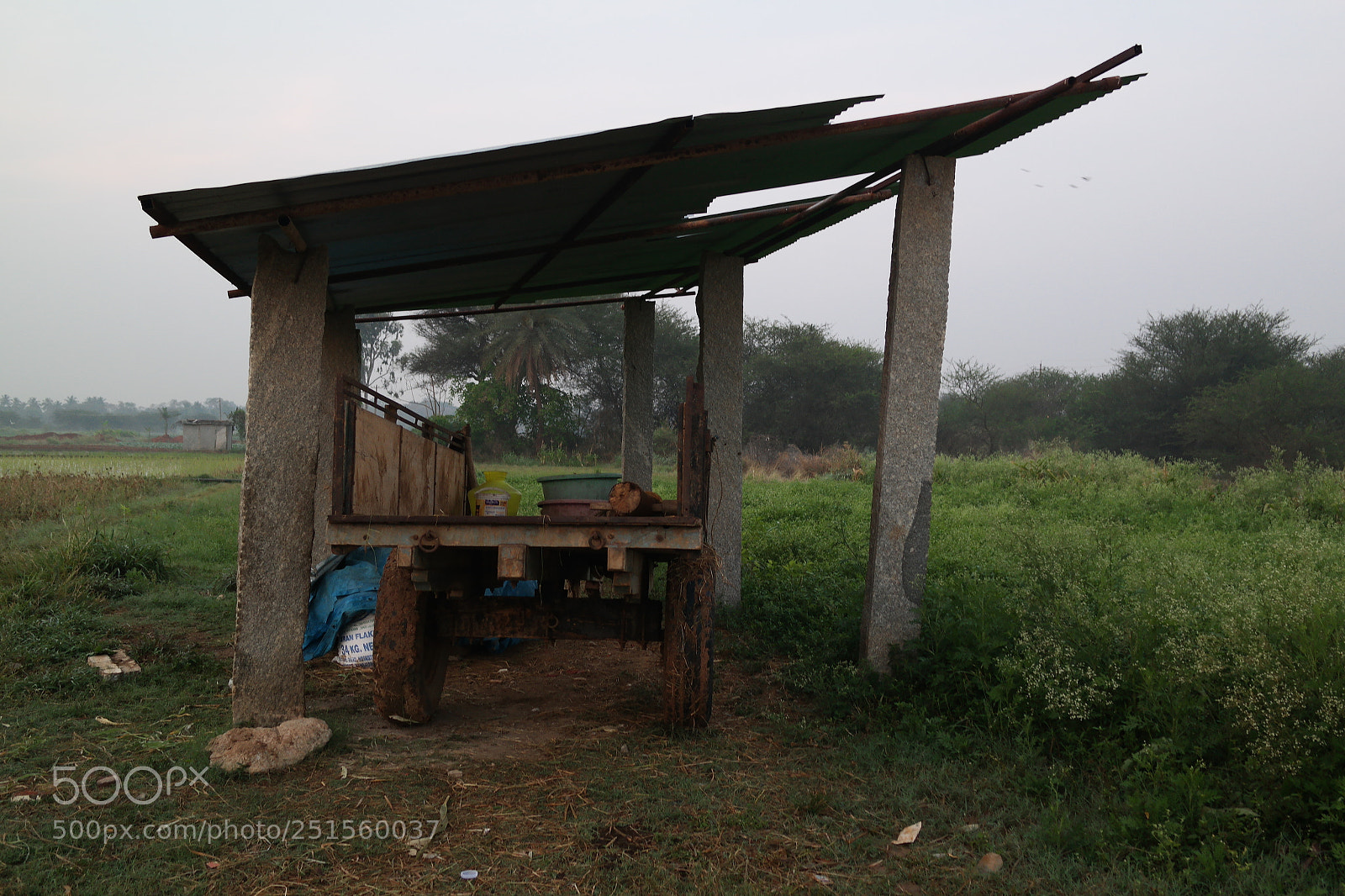 Samsung NX2000 sample photo. Morning ride photography