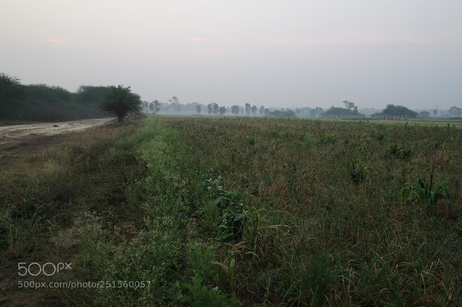 Samsung NX2000 sample photo. Morning ride photography