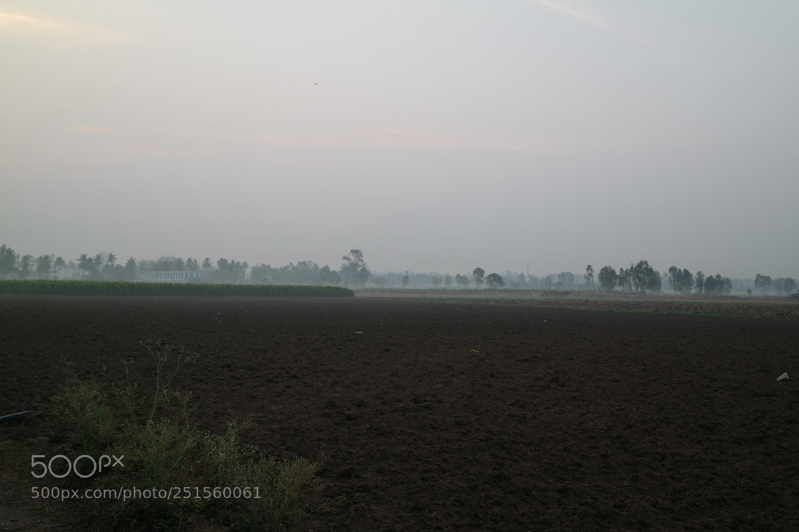Samsung NX2000 sample photo. Morning ride photography