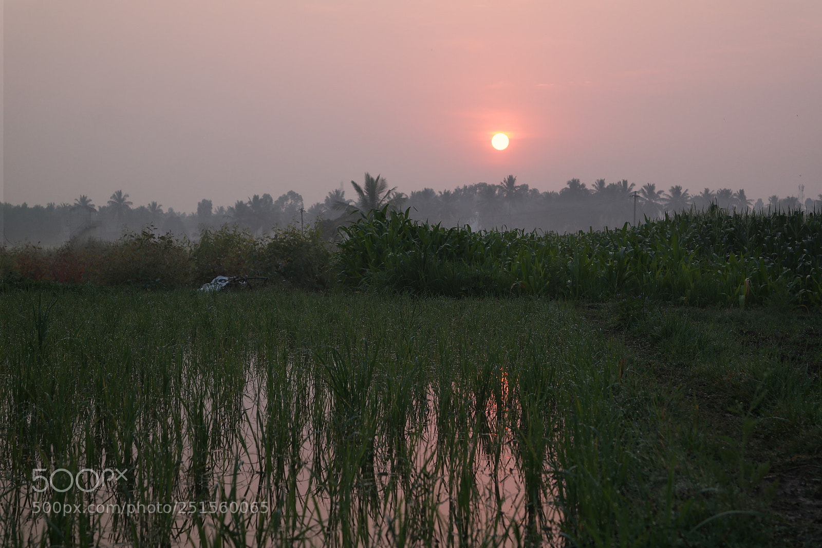 Samsung NX2000 sample photo. Morning ride photography