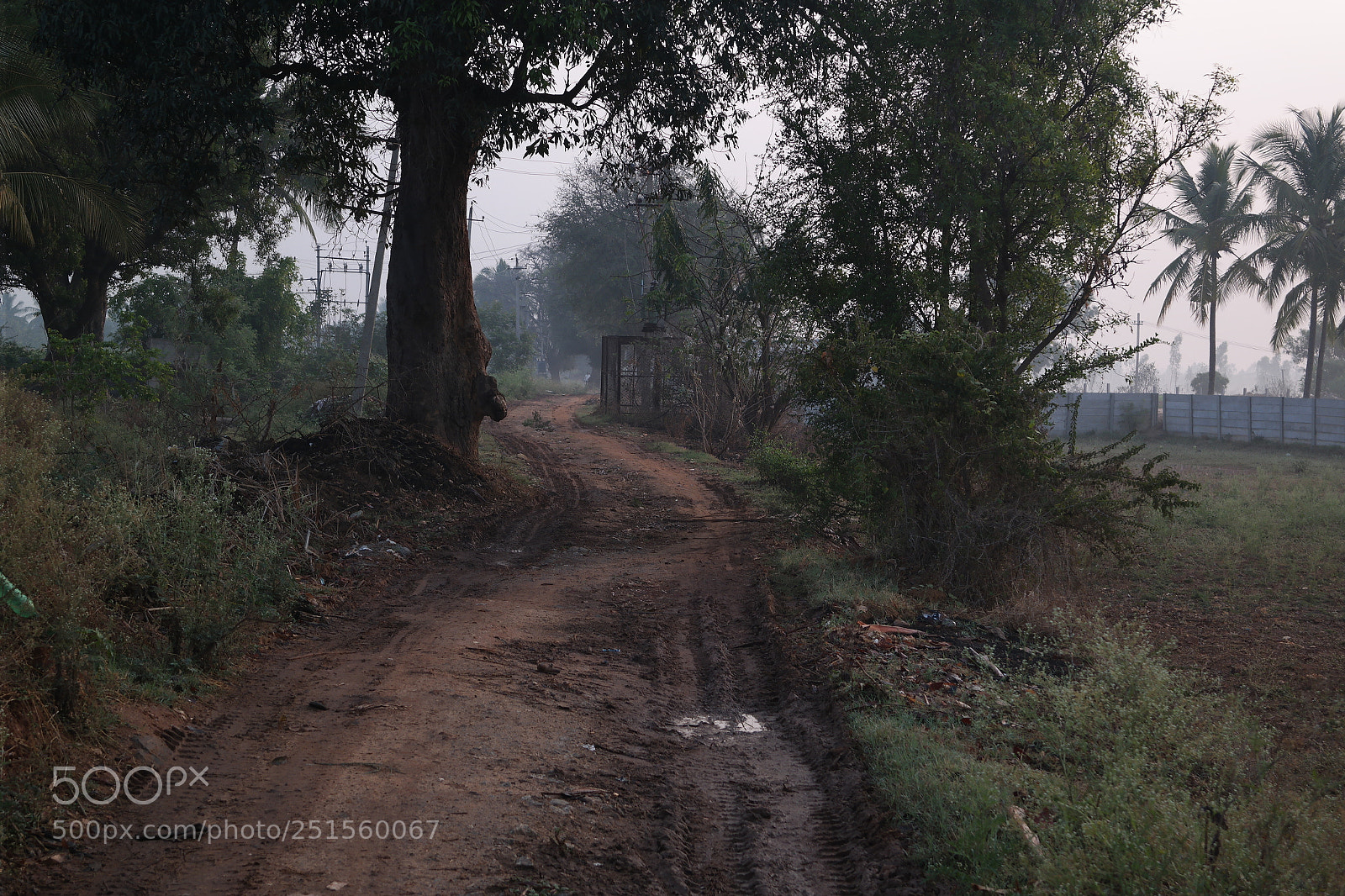 Samsung NX2000 sample photo. Morning ride photography