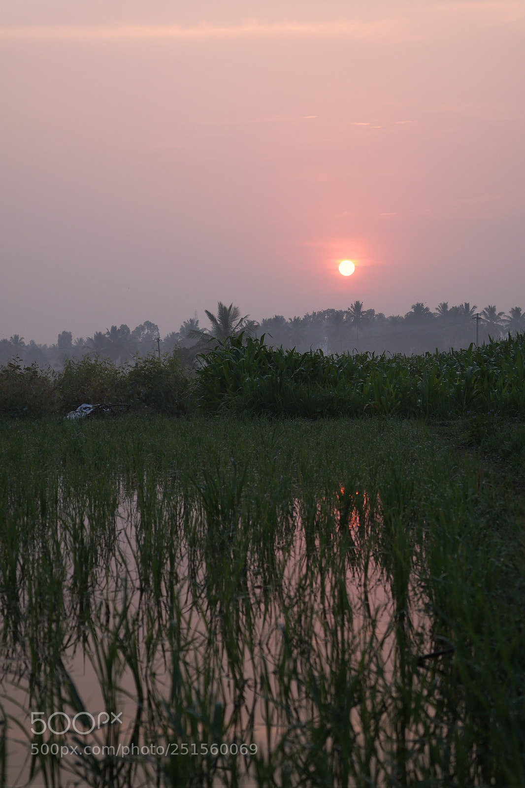 Samsung NX2000 sample photo. Morning ride photography