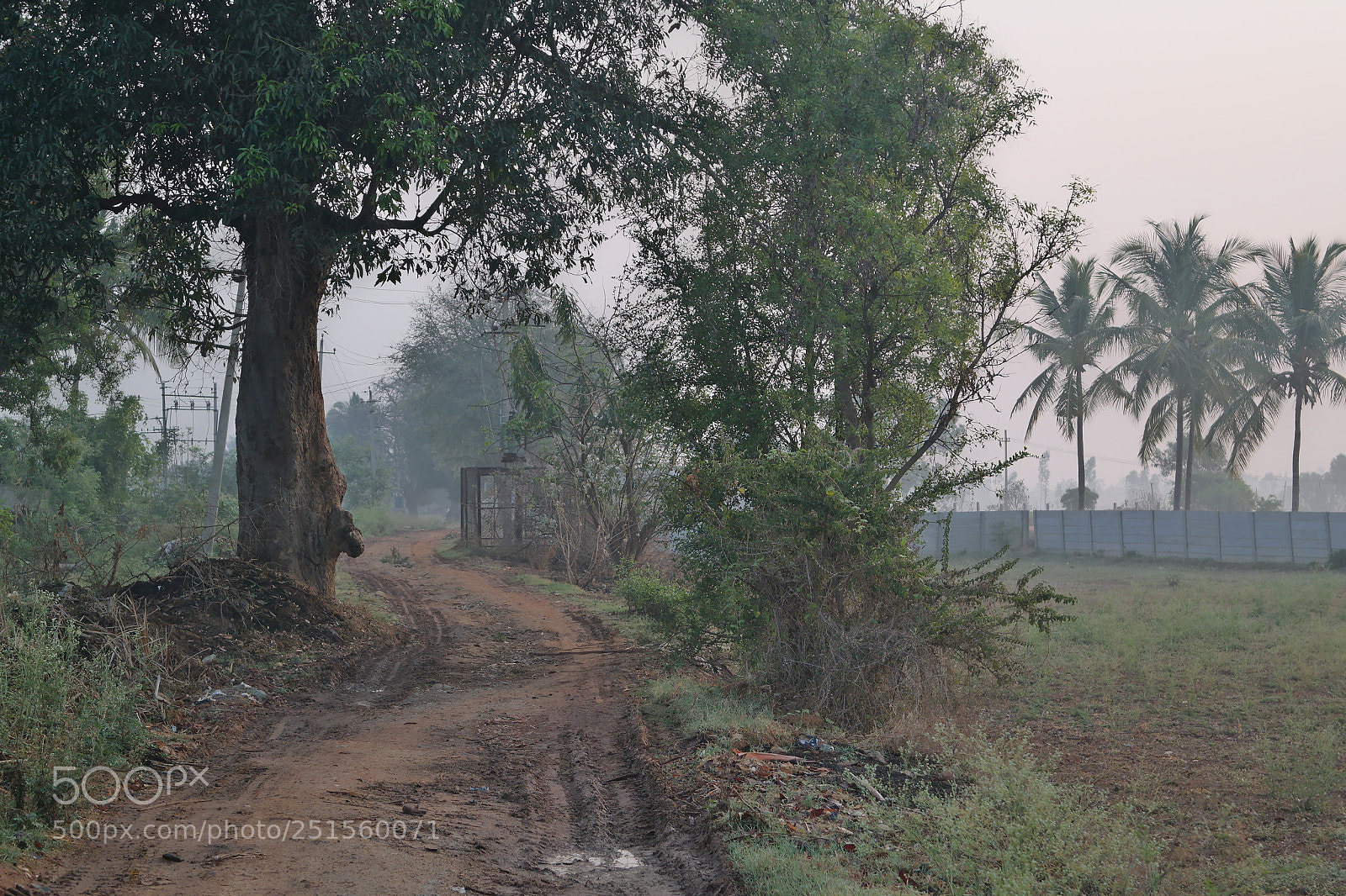 Samsung NX2000 sample photo. Morning ride photography