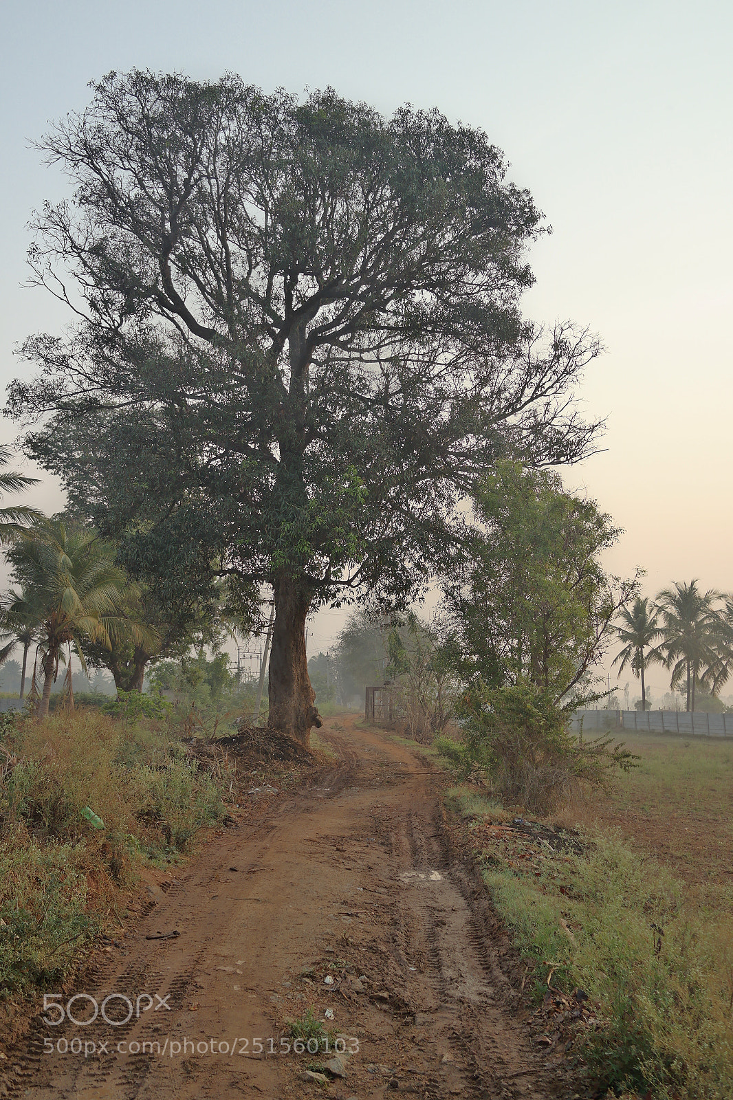 Samsung NX2000 sample photo. Morning ride photography