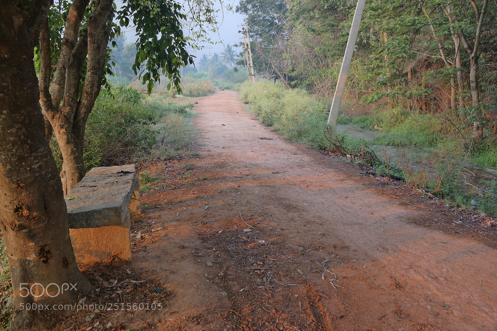 Samsung NX2000 sample photo. Morning ride photography
