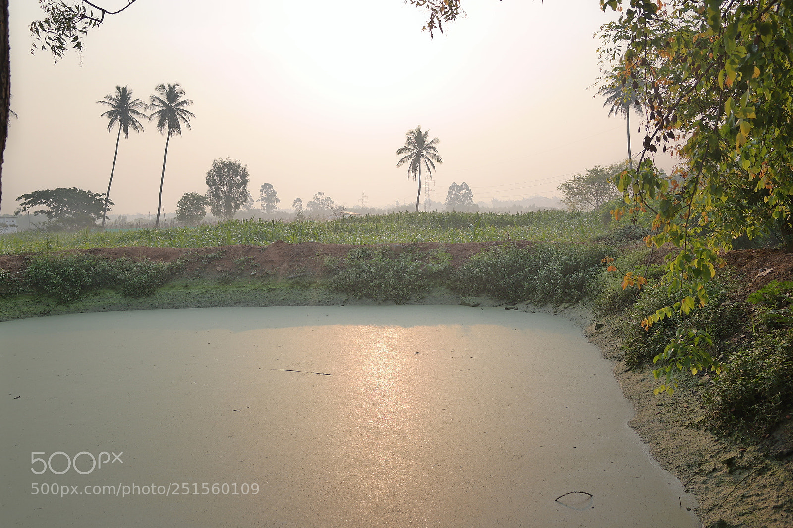 Samsung NX2000 sample photo. Morning ride photography