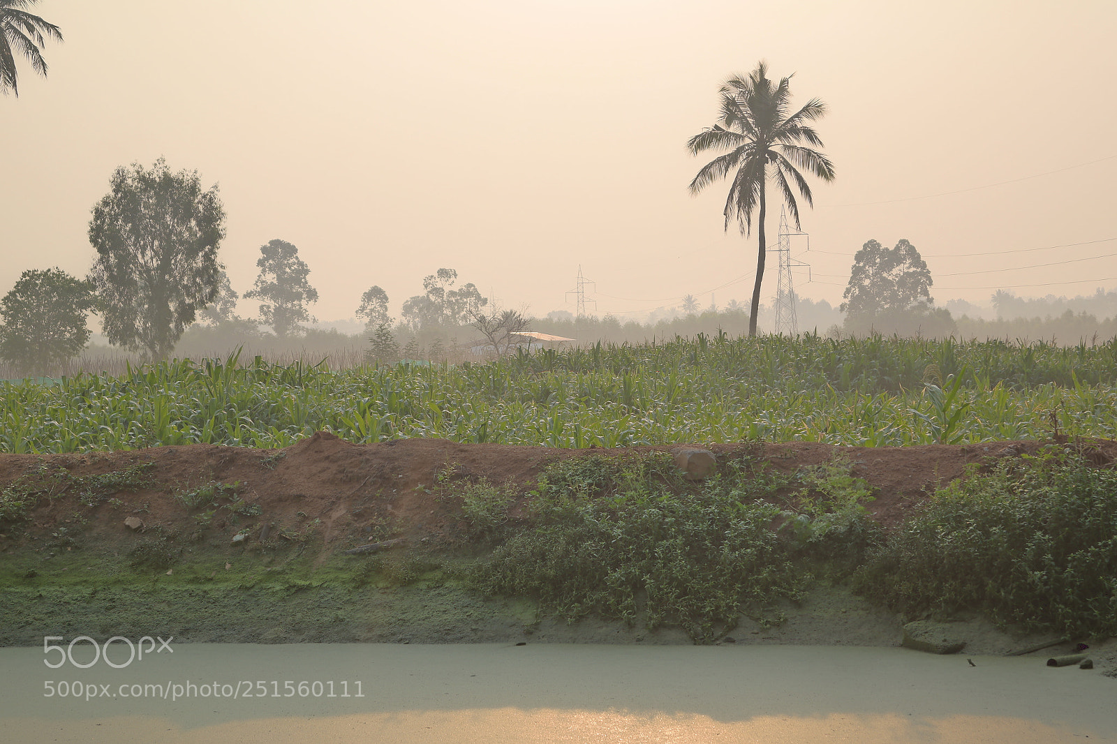 Samsung NX2000 sample photo. Morning ride photography
