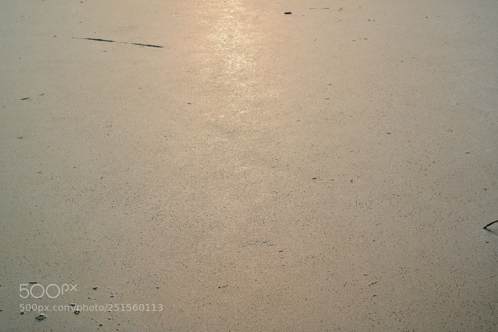 Samsung NX2000 sample photo. Morning ride photography
