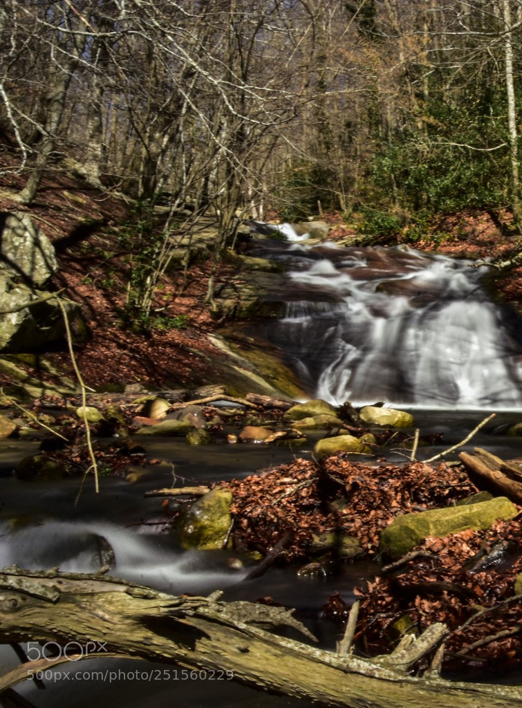 Nikon D7200 sample photo. Montseny photography