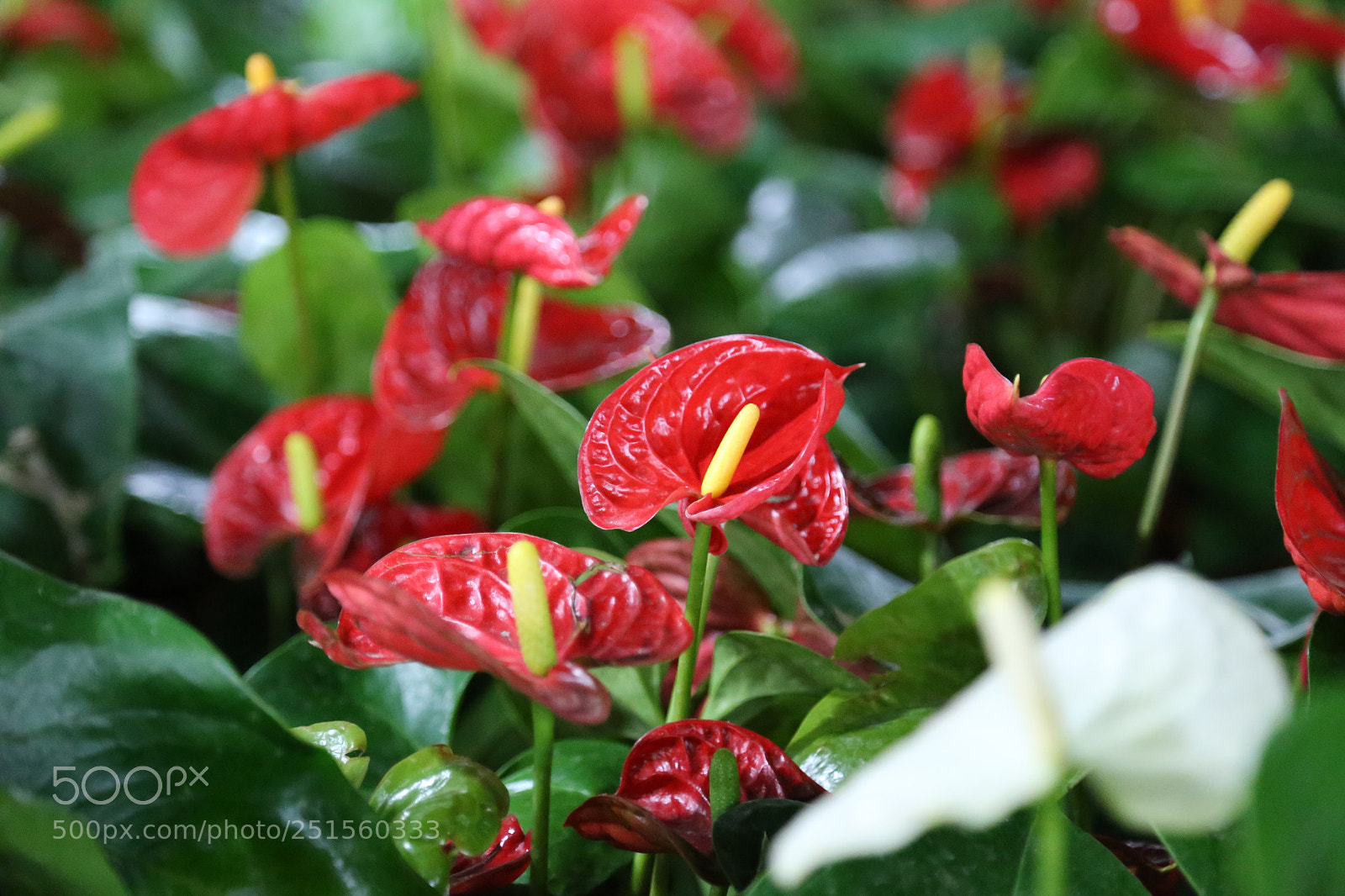 Canon EOS 6D + Canon EF 24-105mm F4L IS USM sample photo. Nothing... photography