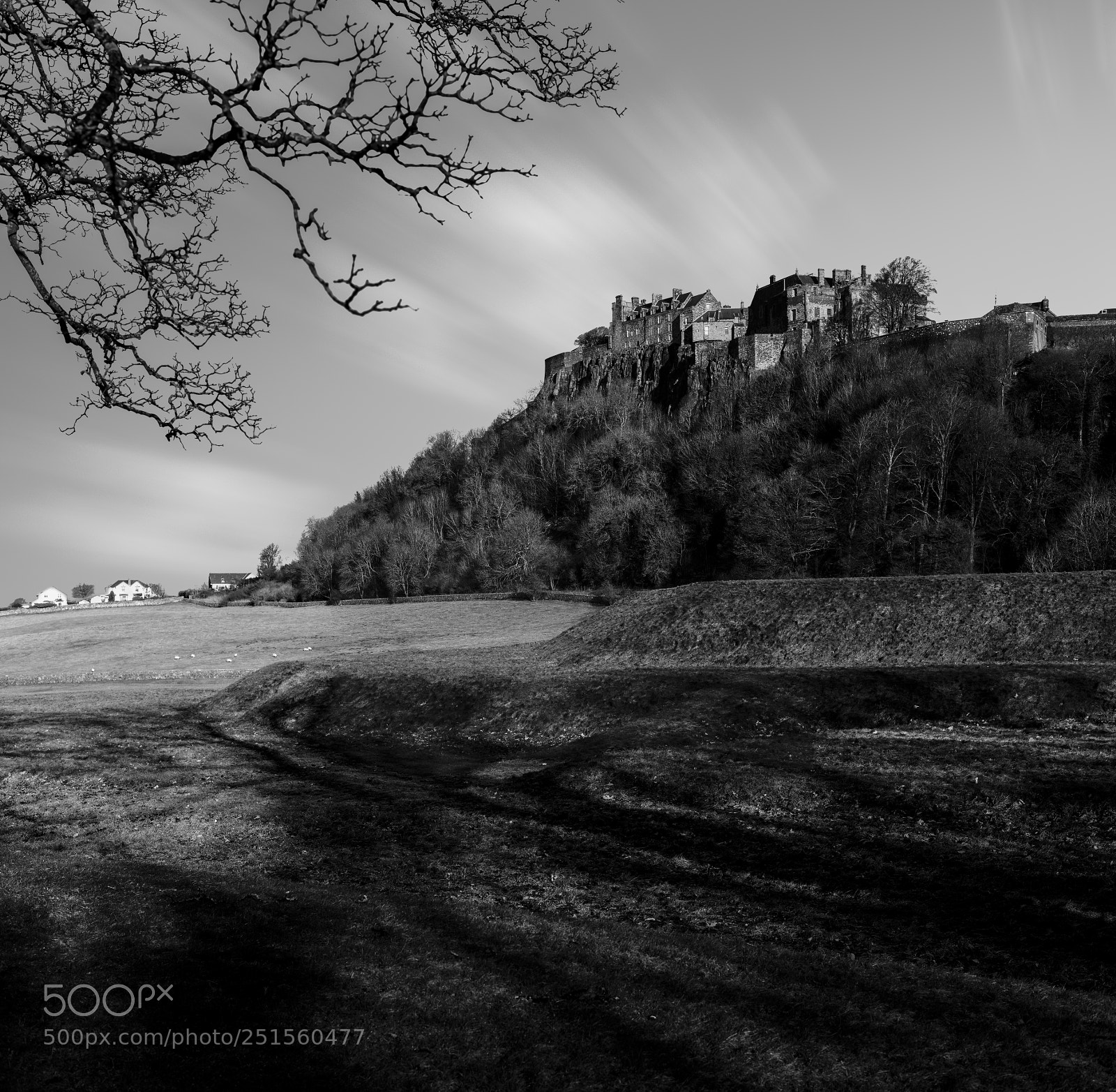 Nikon D800 sample photo. Stirling castle photography