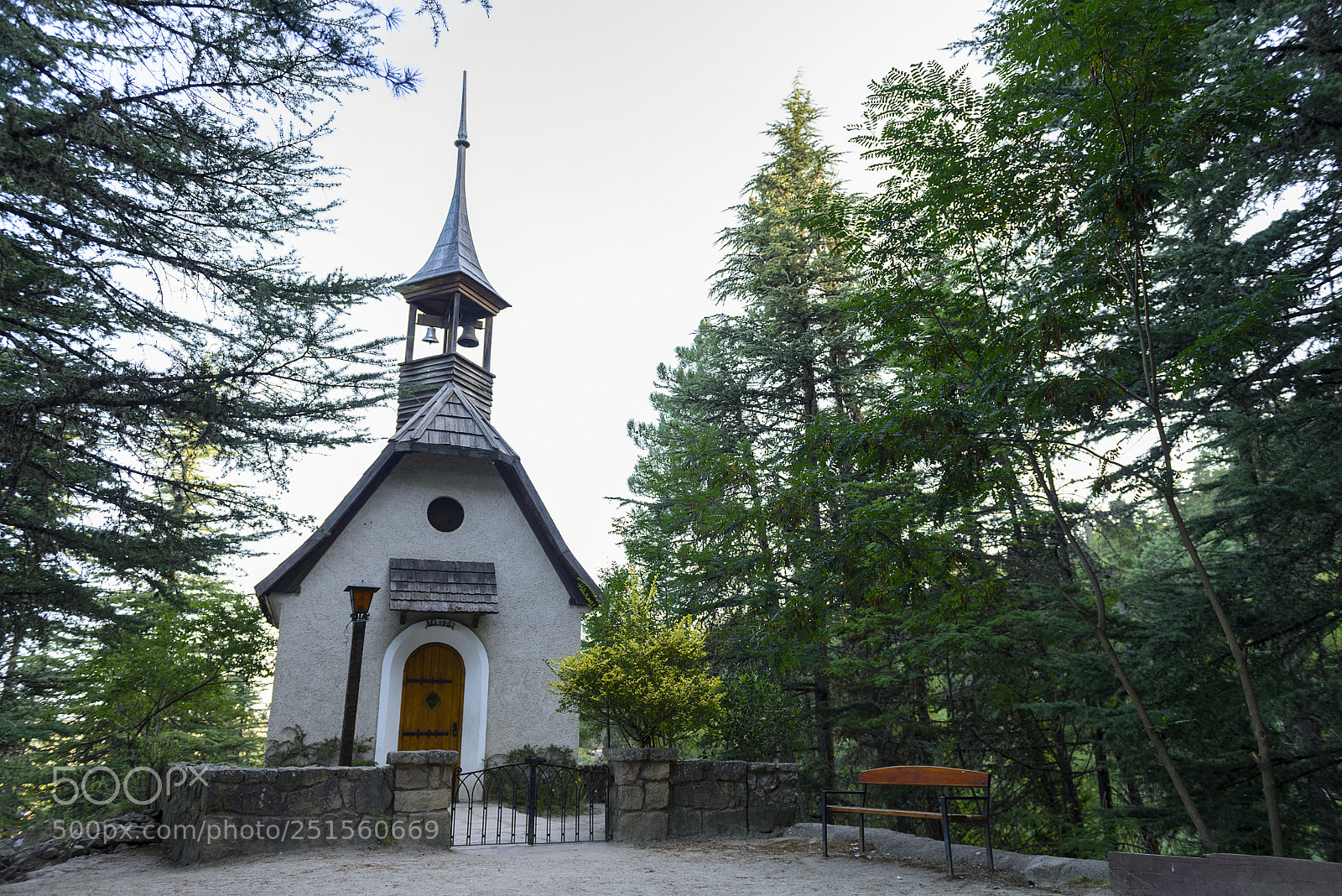 Nikon D610 sample photo. Untitled photography