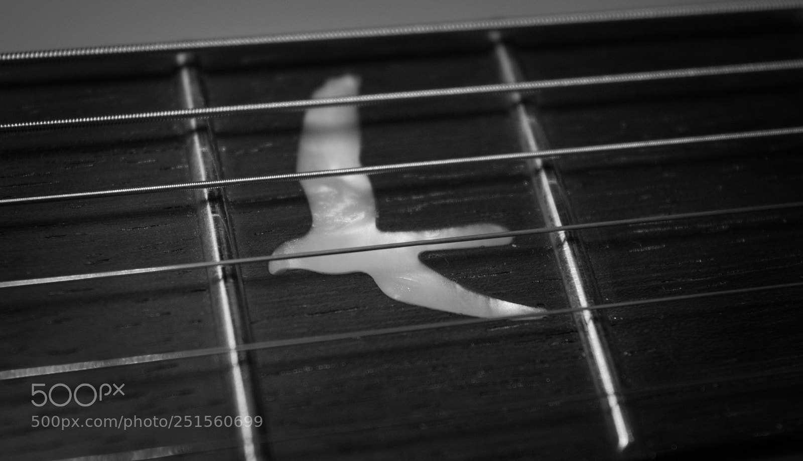 Nikon D3200 sample photo. Guitar fretboard photography