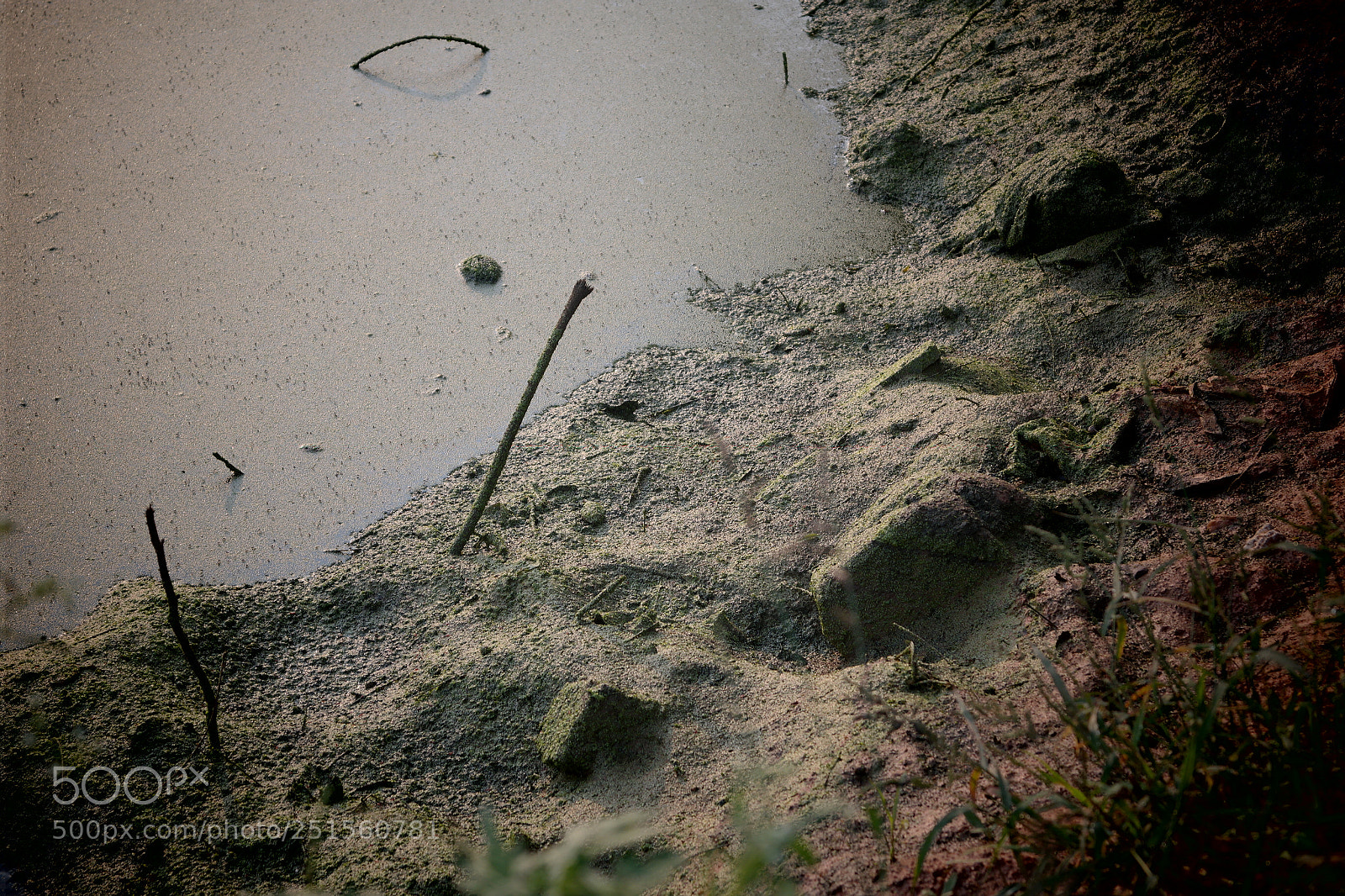 Samsung NX2000 sample photo. Morning ride photography