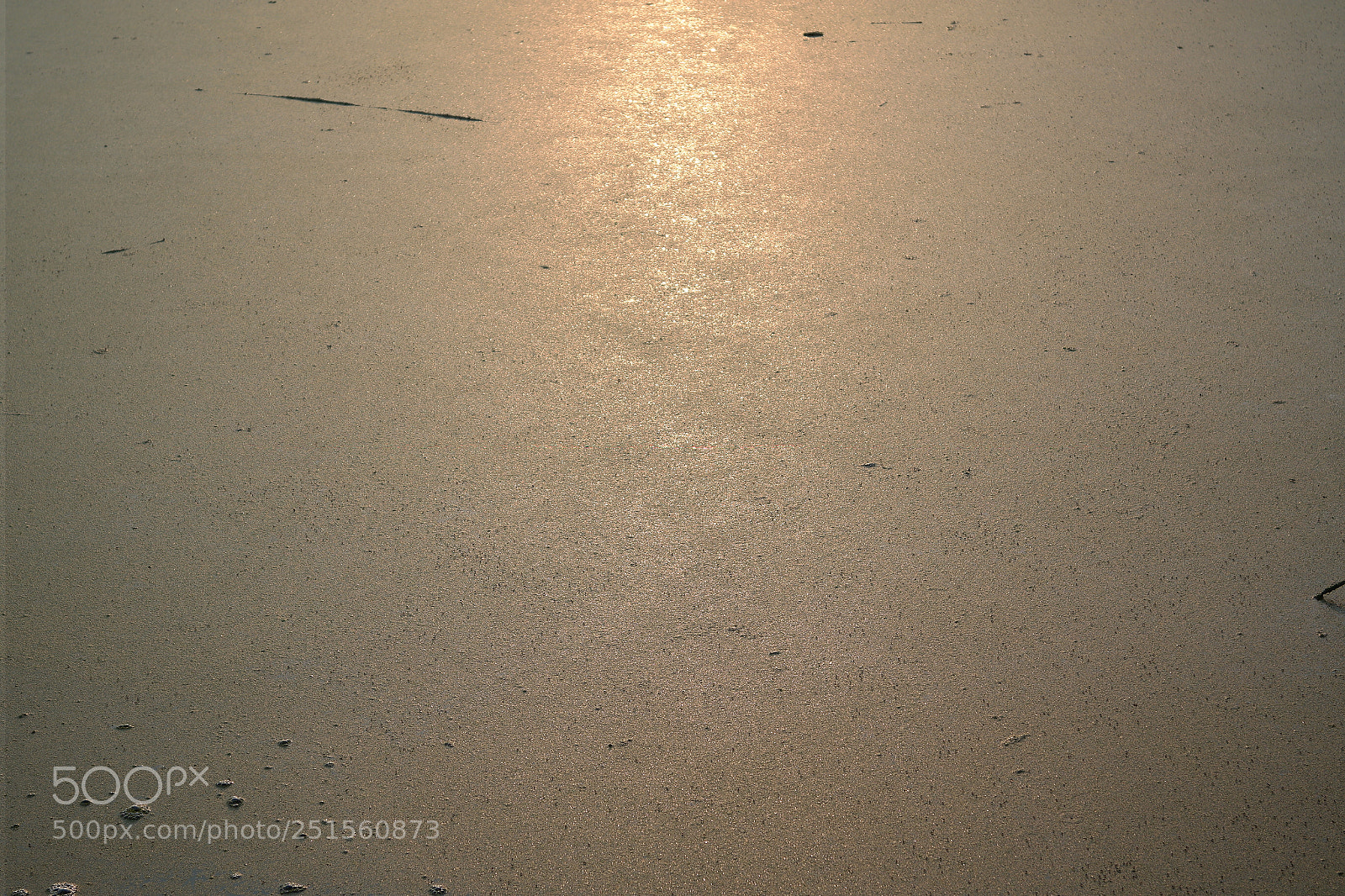 Samsung NX2000 sample photo. Morning ride photography