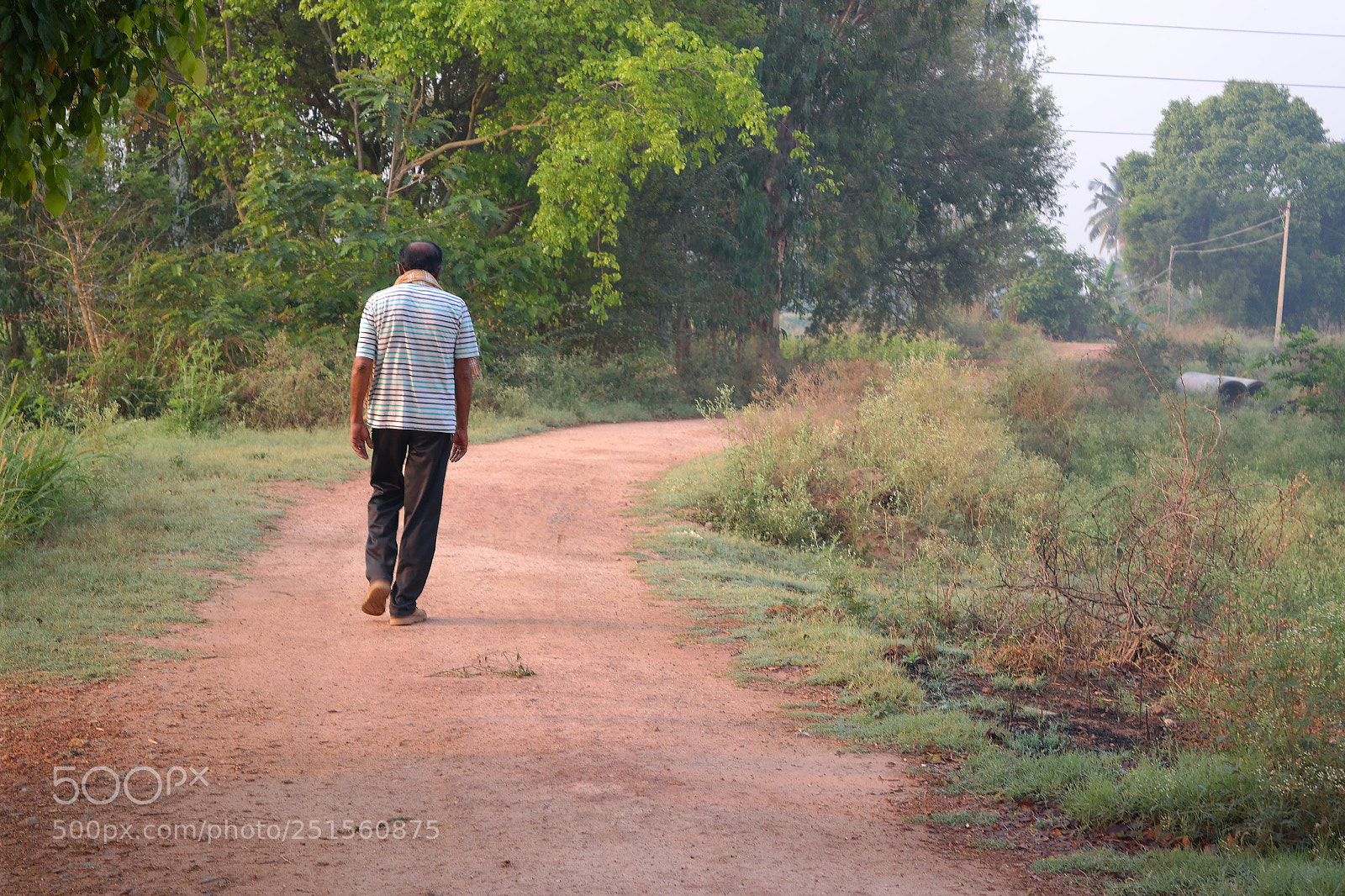Samsung NX2000 sample photo. Morning ride photography