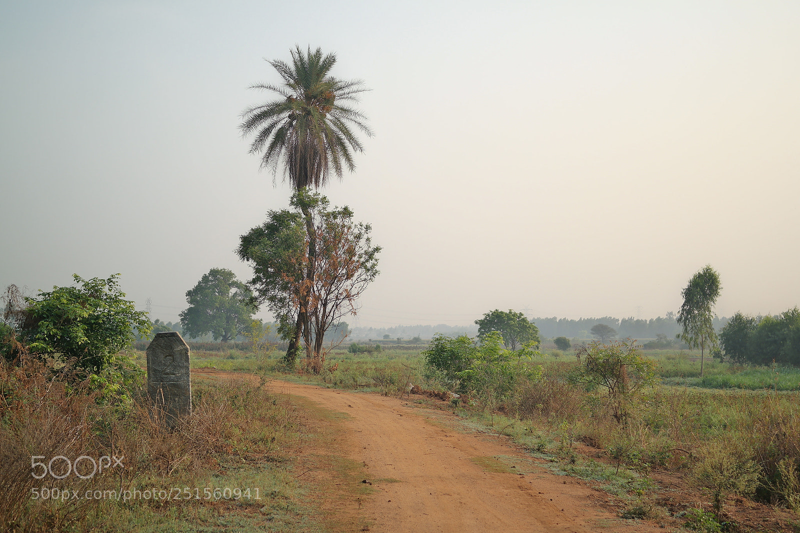 Samsung NX2000 sample photo. Morning ride photography