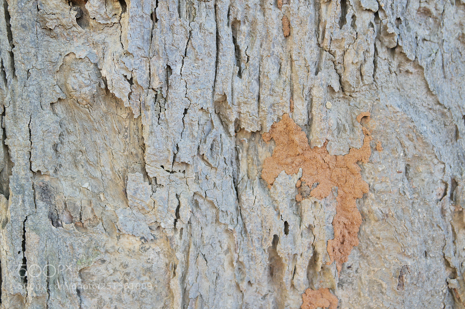 Samsung NX2000 sample photo. Morning ride photography