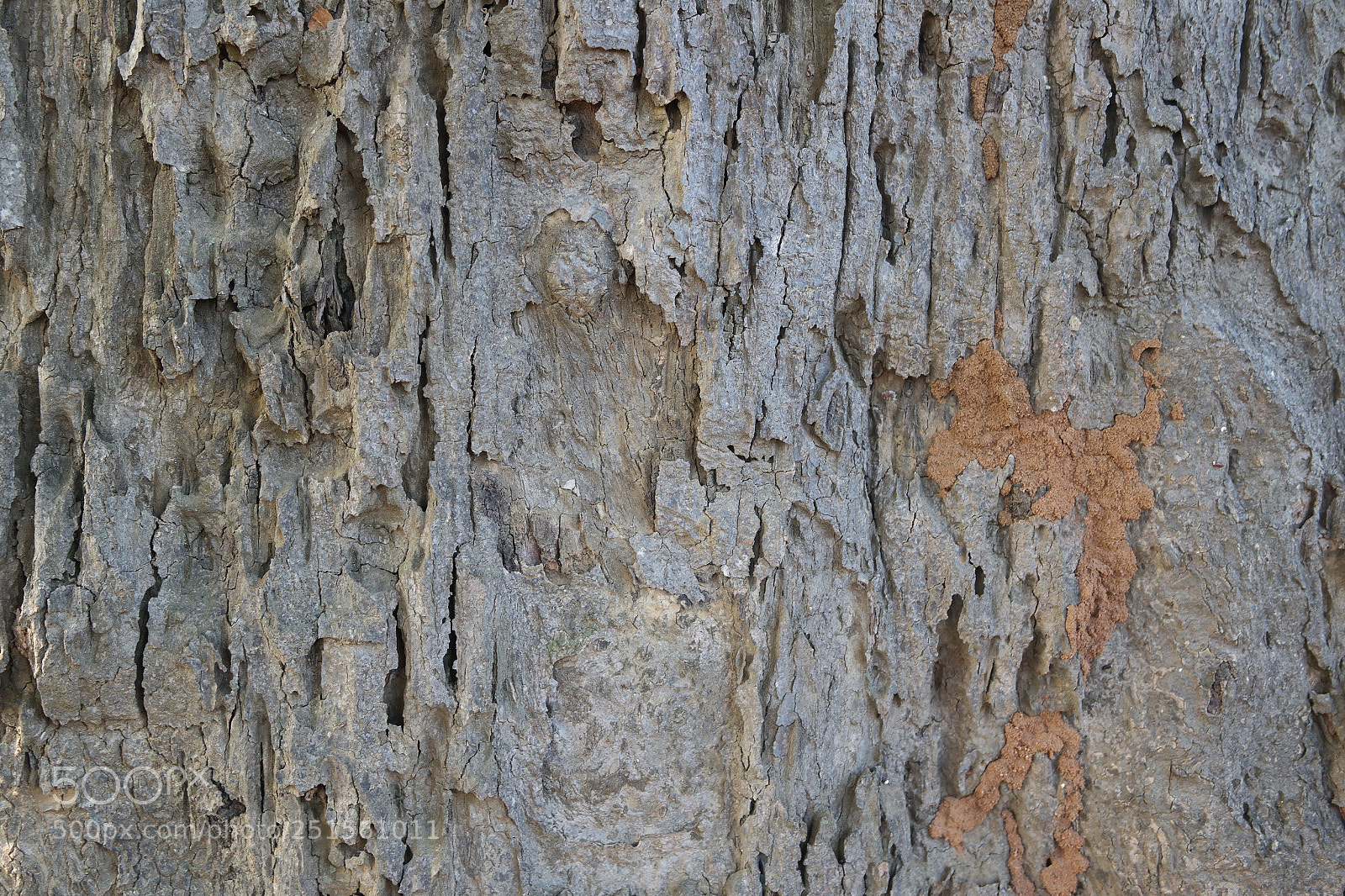 Samsung NX2000 sample photo. Morning ride photography
