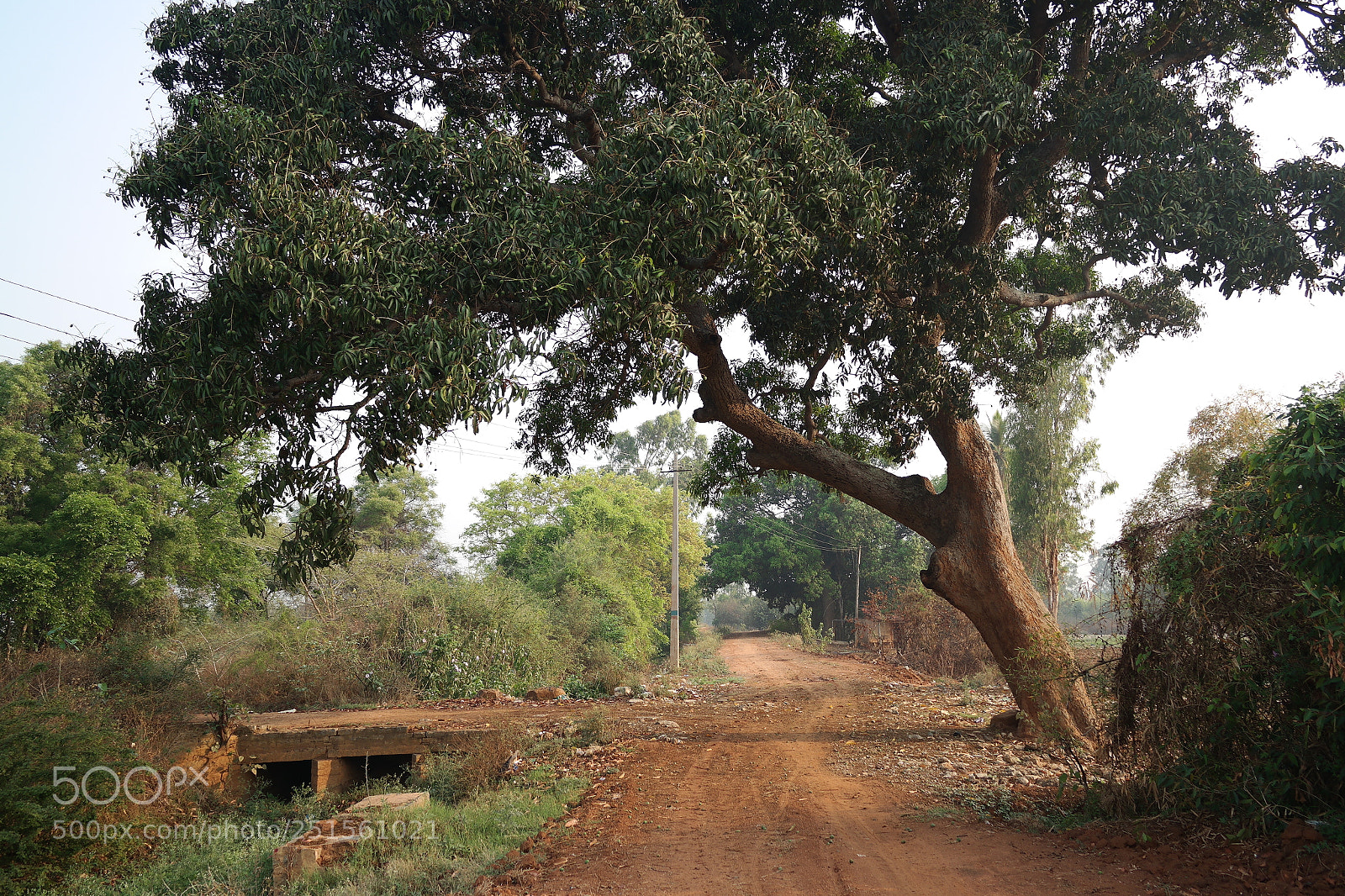 Samsung NX2000 sample photo. Morning ride photography