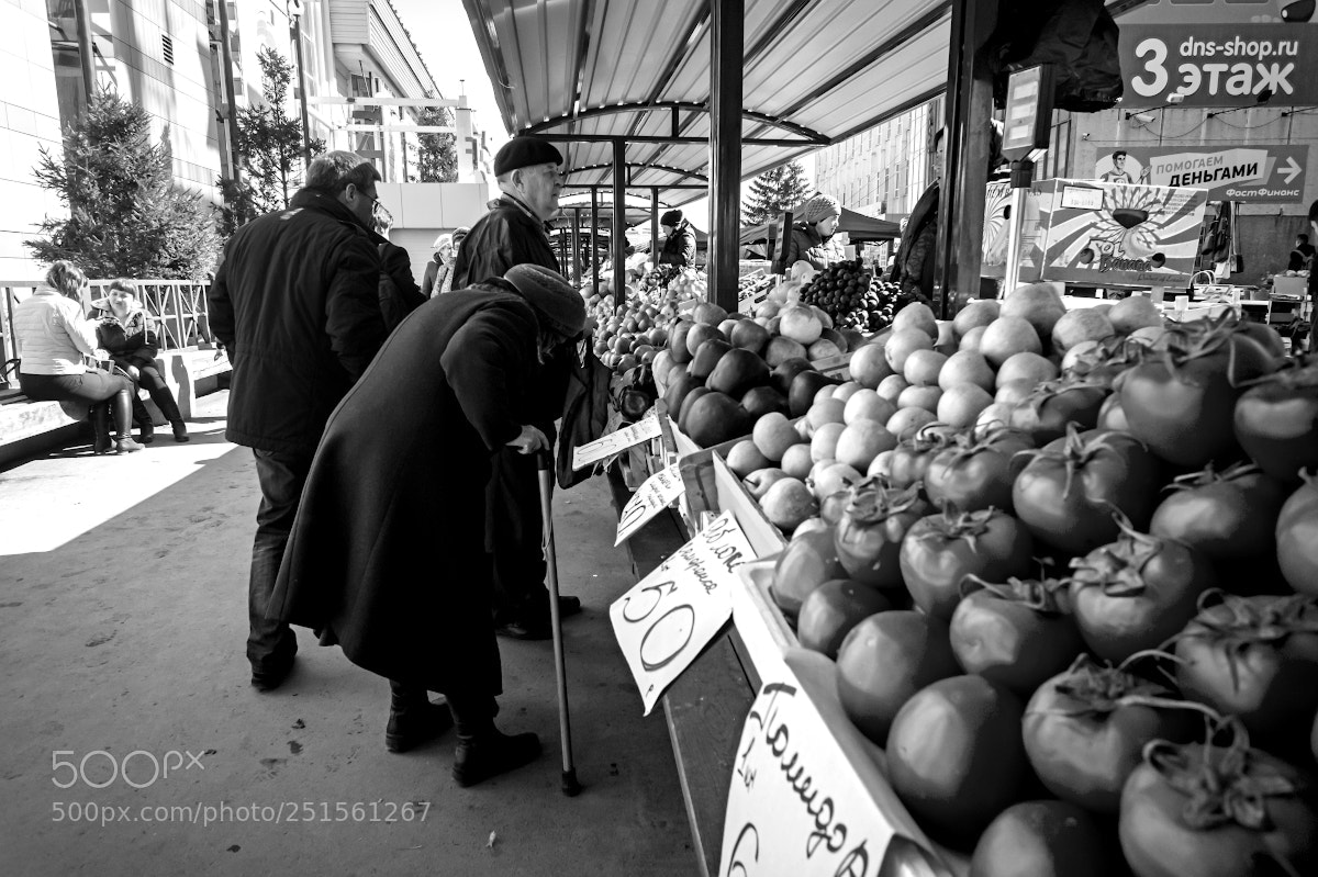 Sony Alpha NEX-5 sample photo. Untitled photography