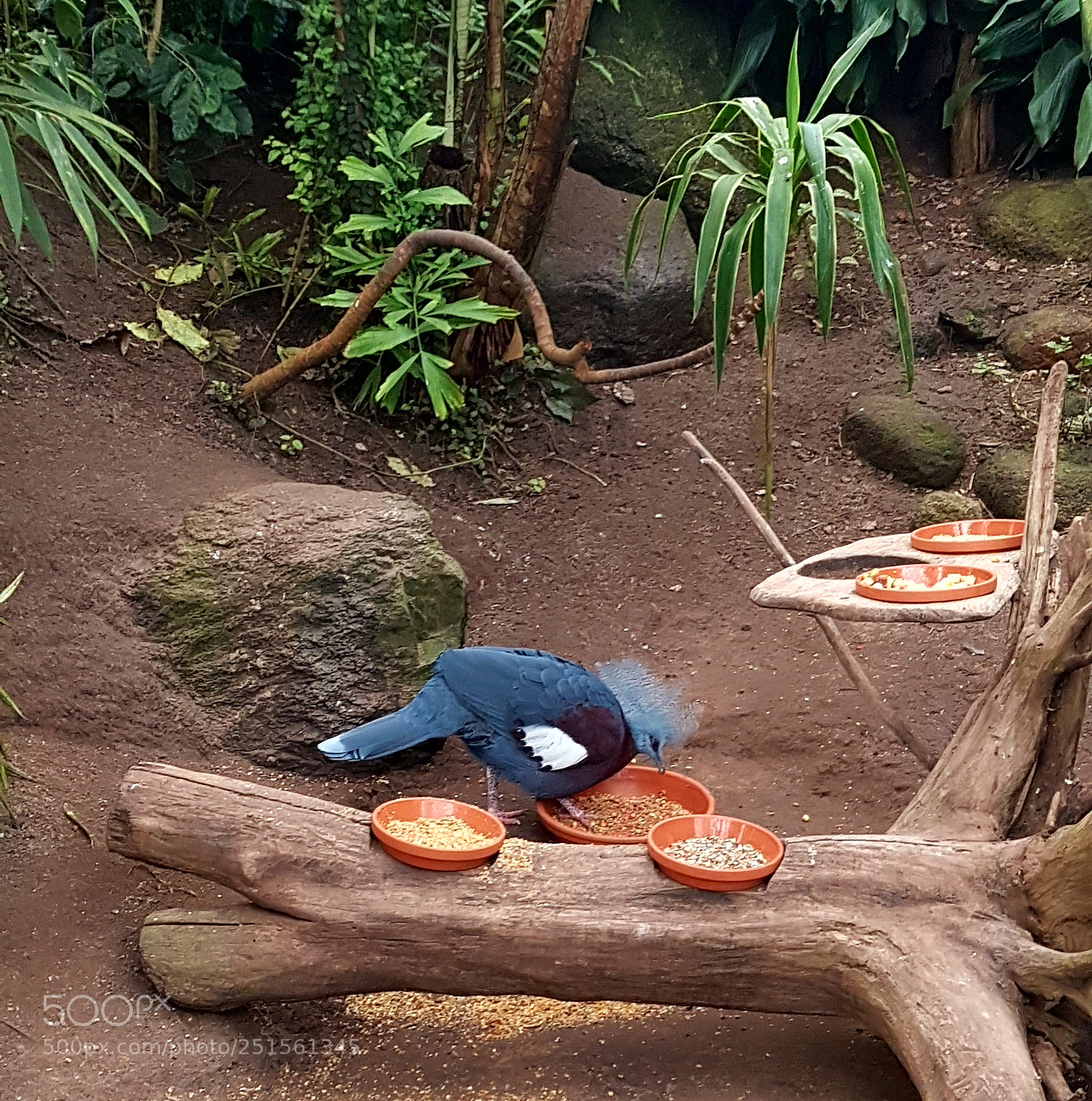Samsung Galaxy S7 sample photo. Untitled photography