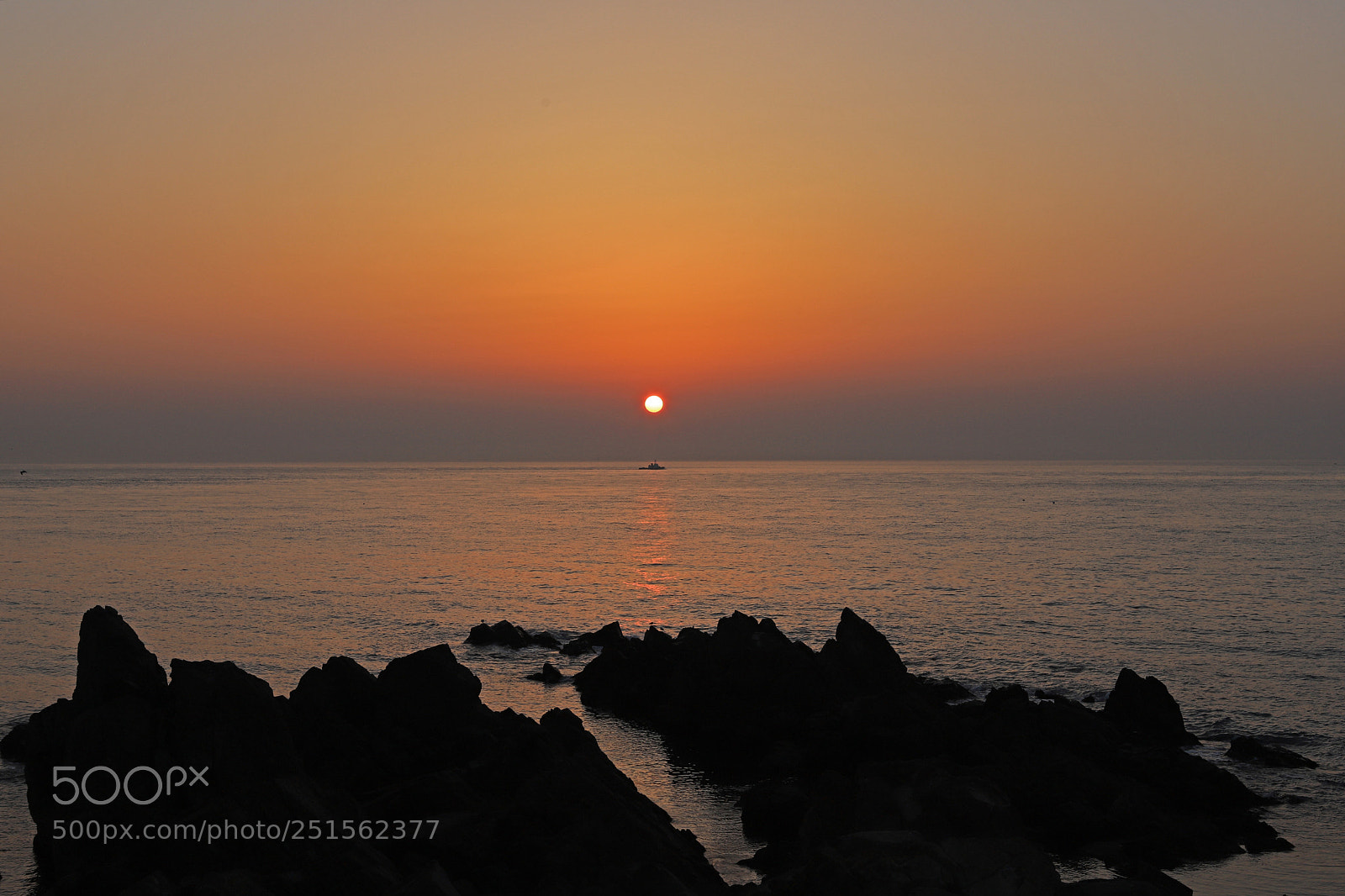 Canon EOS 6D Mark II sample photo. Line of vision photography