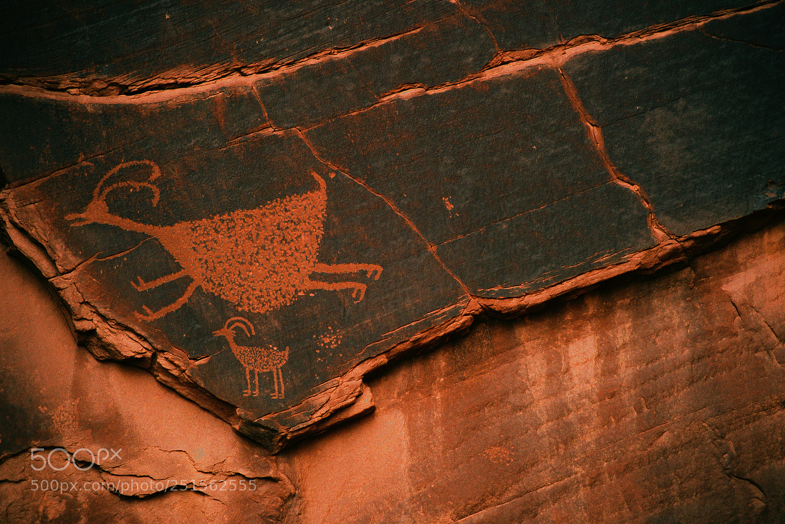 Nikon D810 sample photo. Petroglyph photography