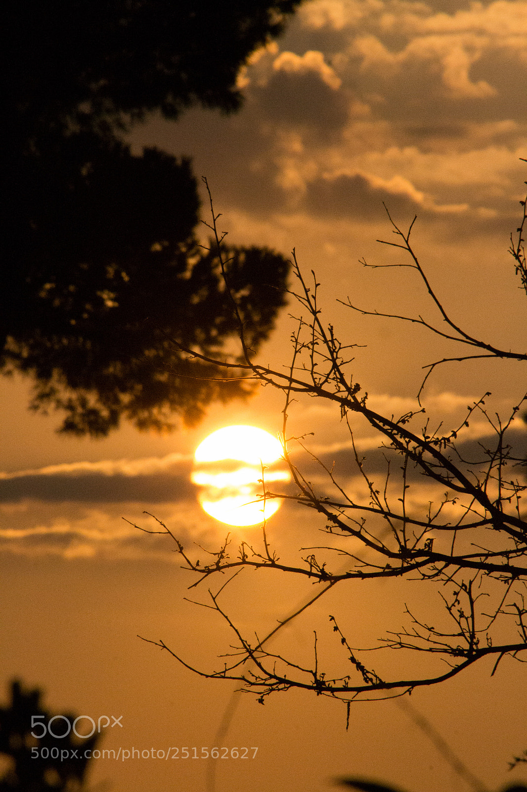 Nikon D3100 sample photo. Sunset photography