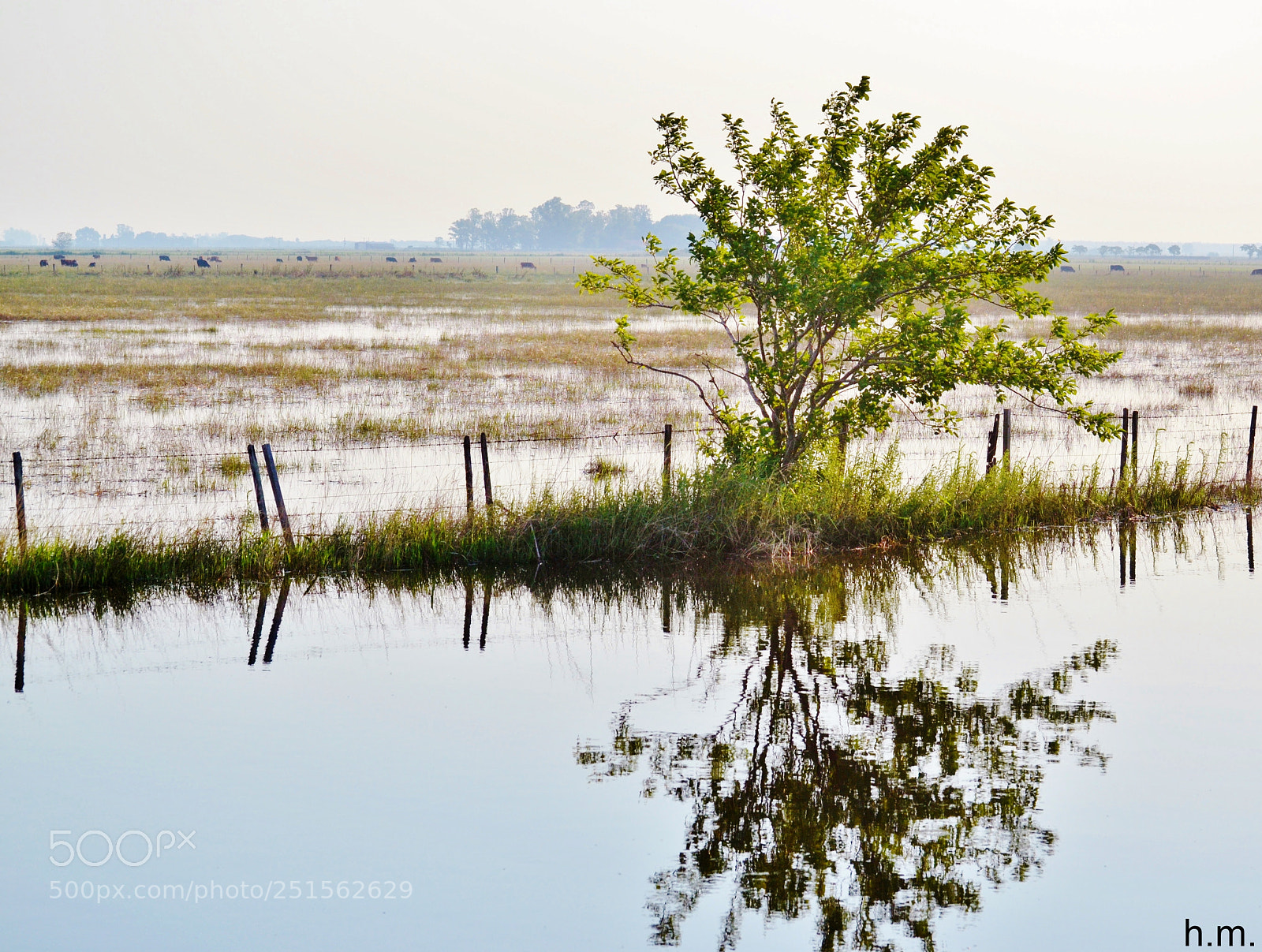 Nikon D3100 sample photo. Fcccd o photography