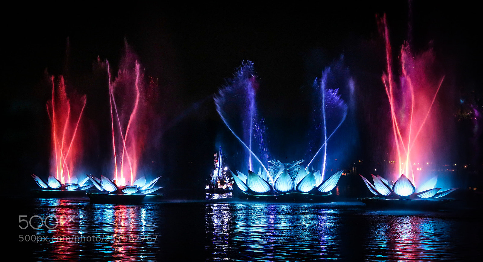 Canon PowerShot G7 X Mark II sample photo. Animal kingdom photography