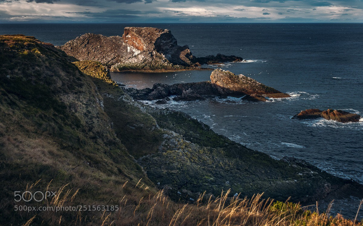 Fujifilm X-T2 sample photo. Growing rocks photography