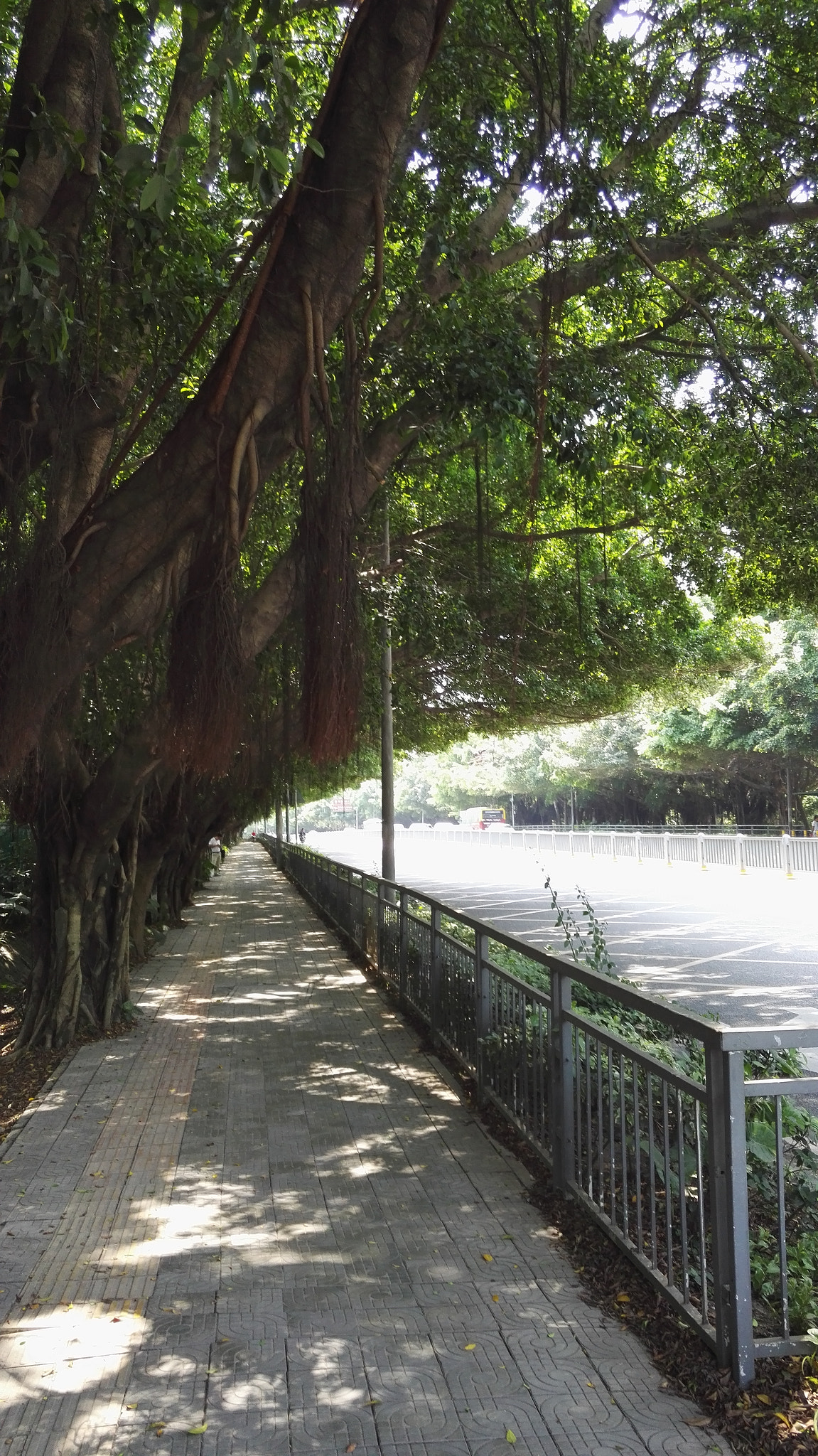 HUAWEI Honor 7 sample photo. 回头看 photography