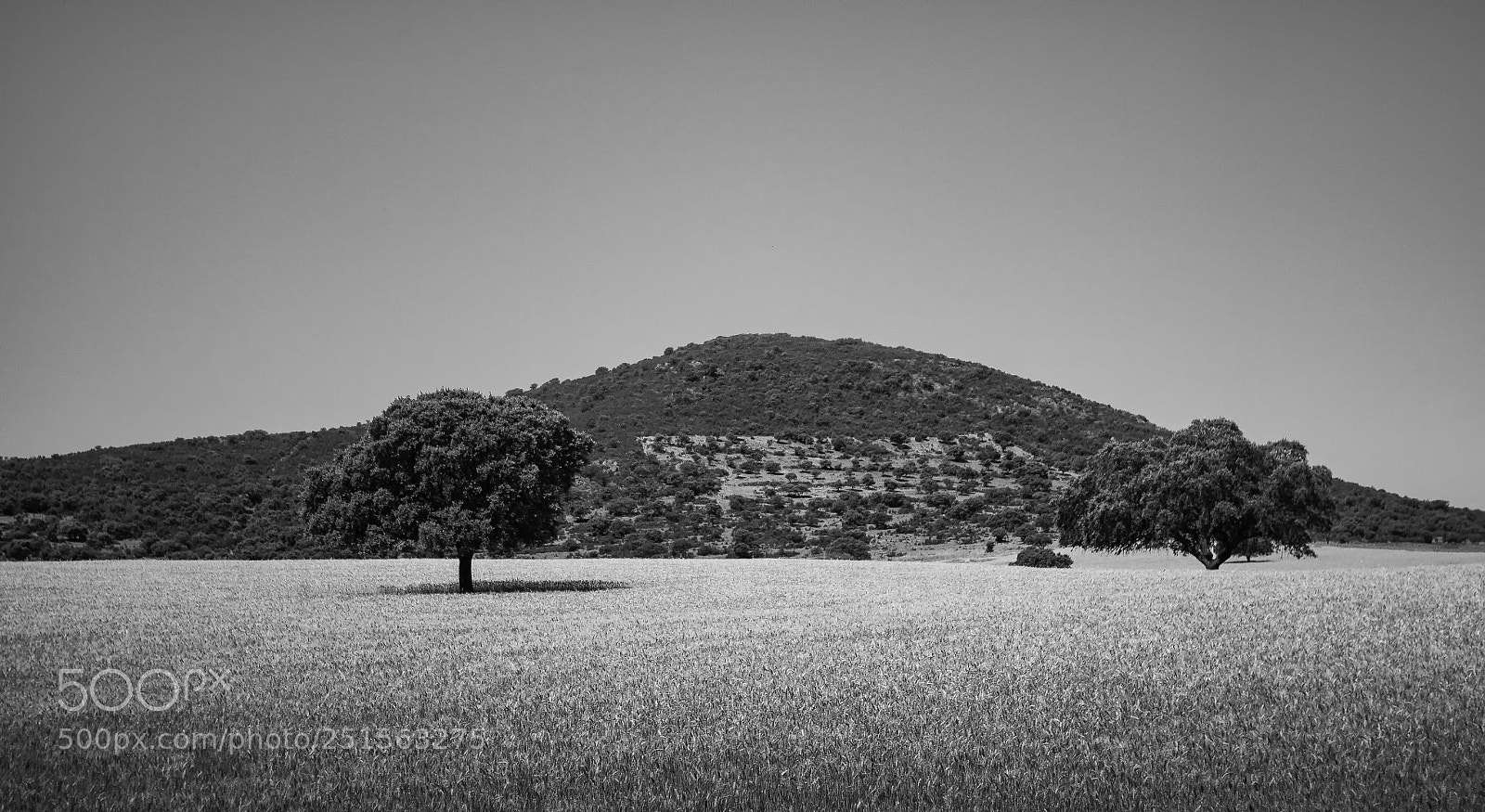 Canon EOS 50D sample photo. Un paisaje photography