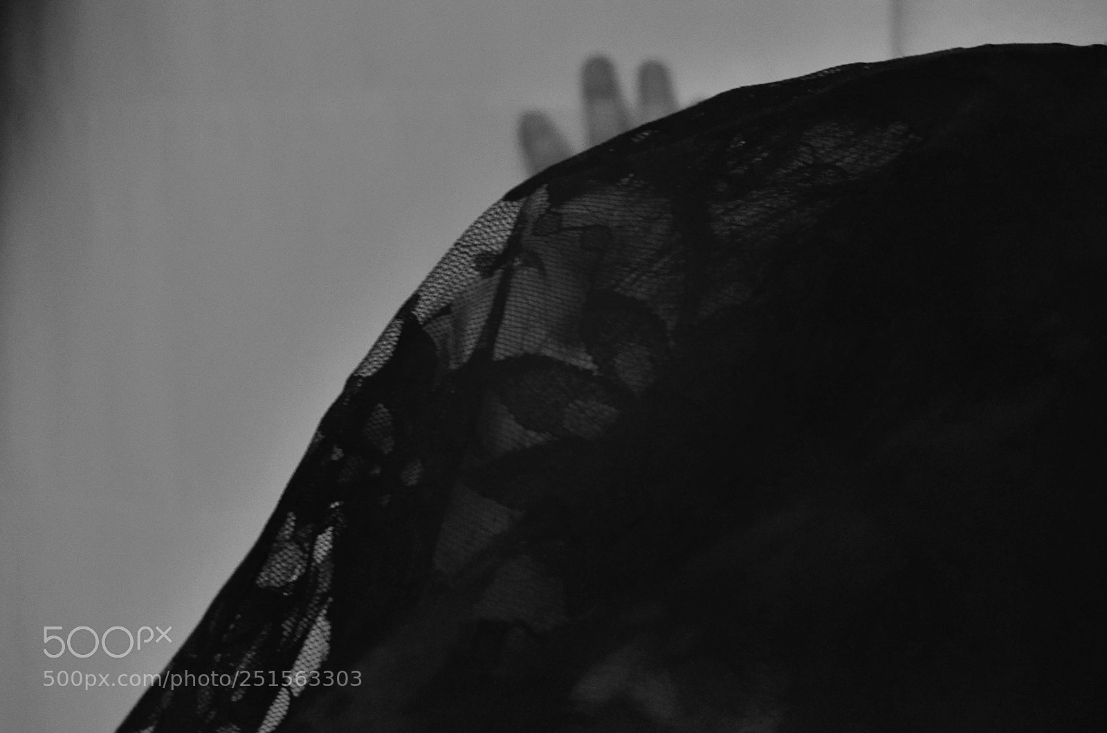 Nikon D7000 sample photo. Untitled photography